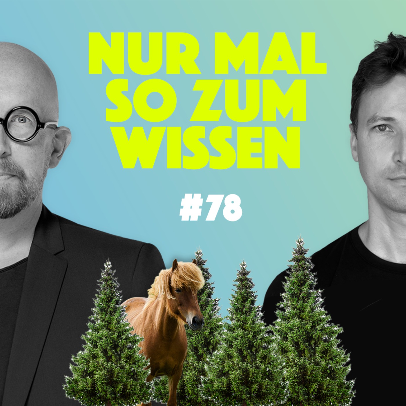 NUR MAL SO ZUM WISSEN