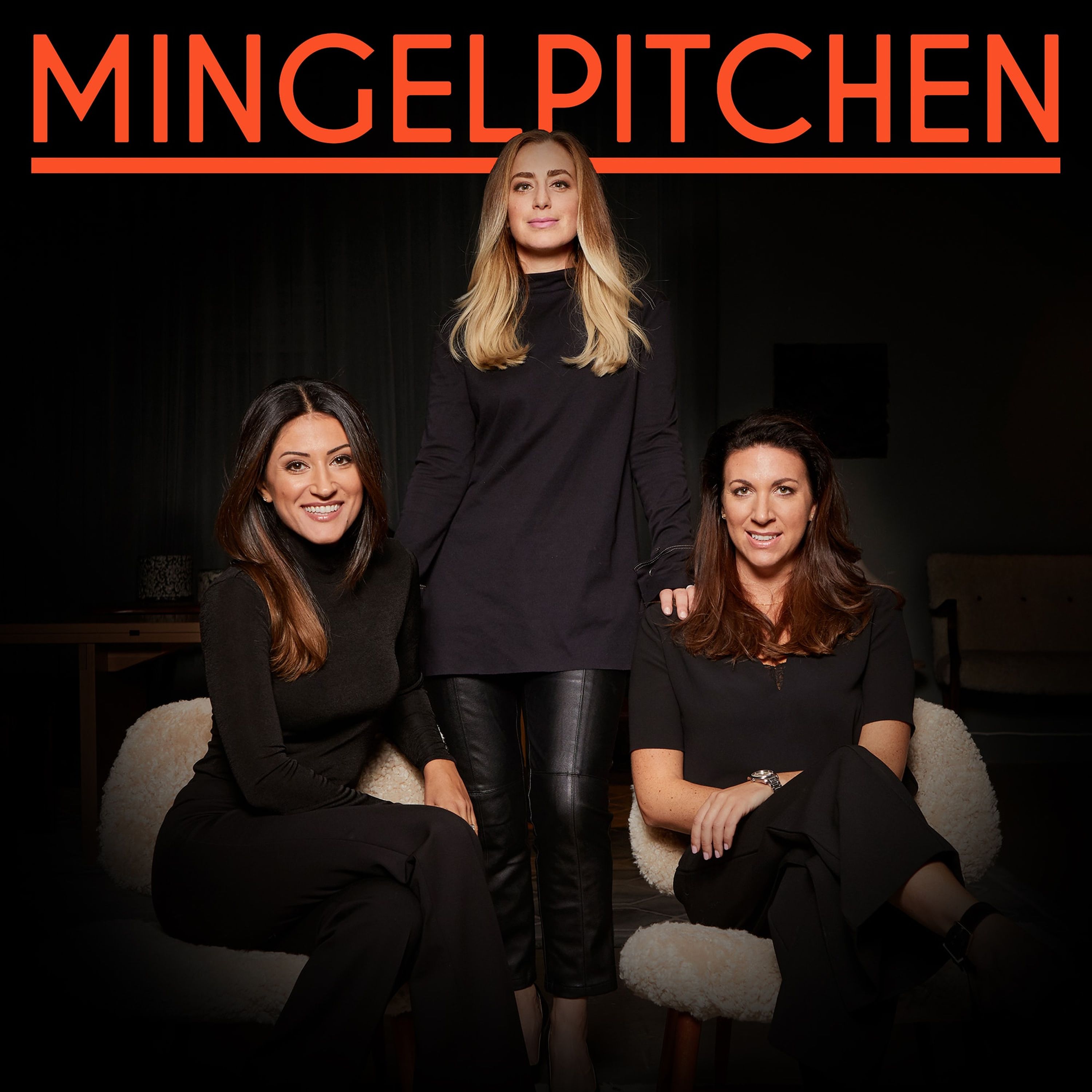 cover art for Mingelpitchen Intro