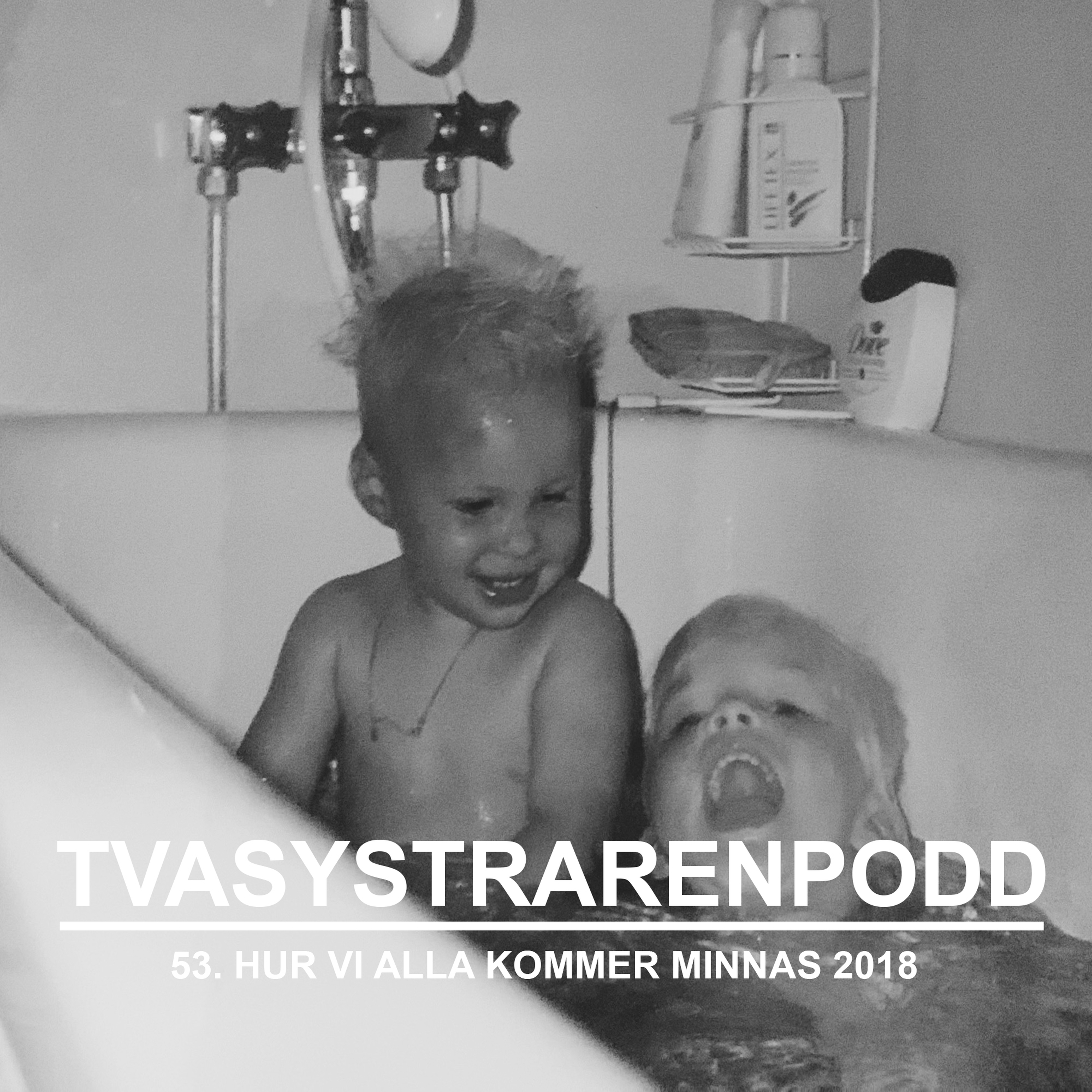 53. Hur vi alla kommer minnas 2018 episode artwork