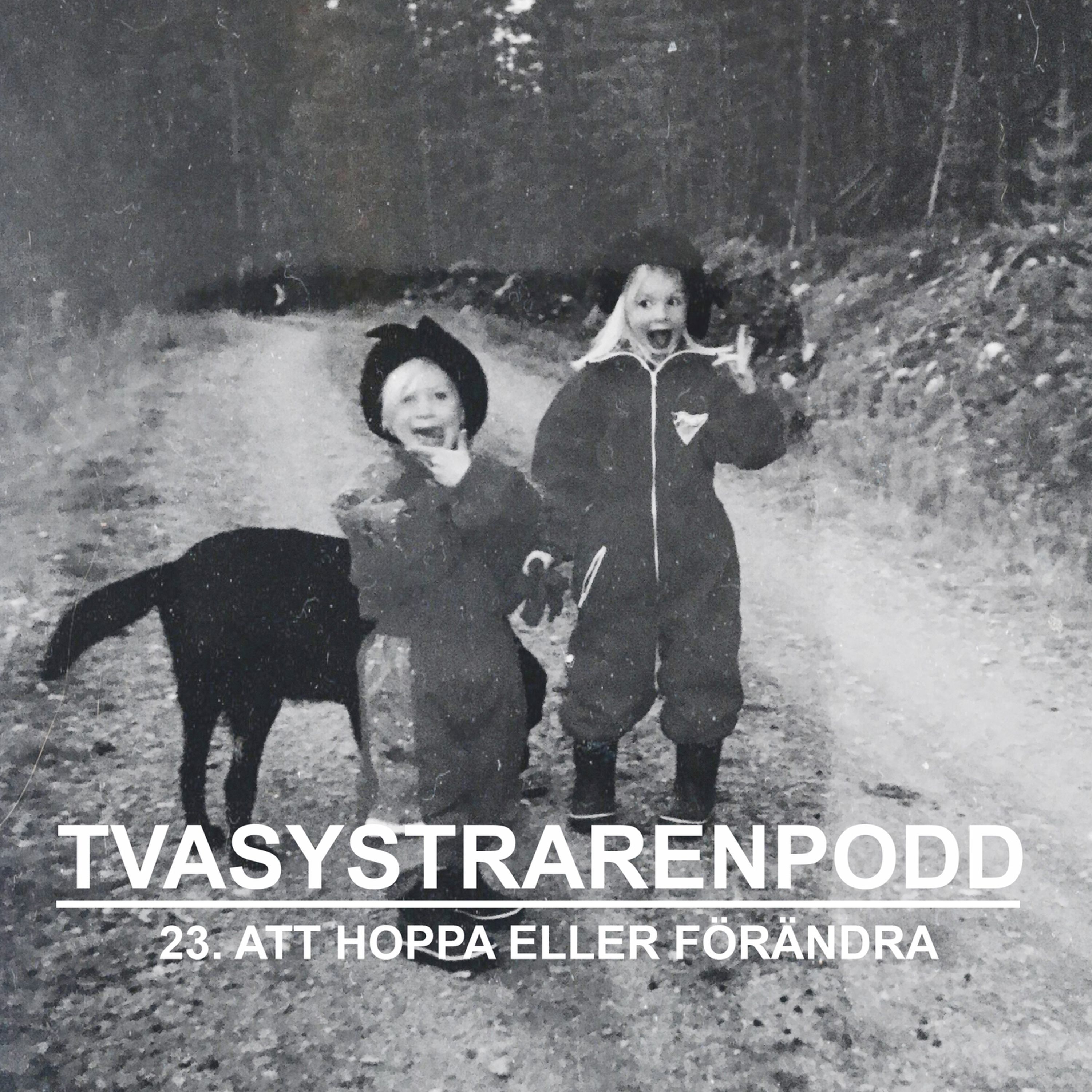 23. Att hoppa eller förändra episode artwork