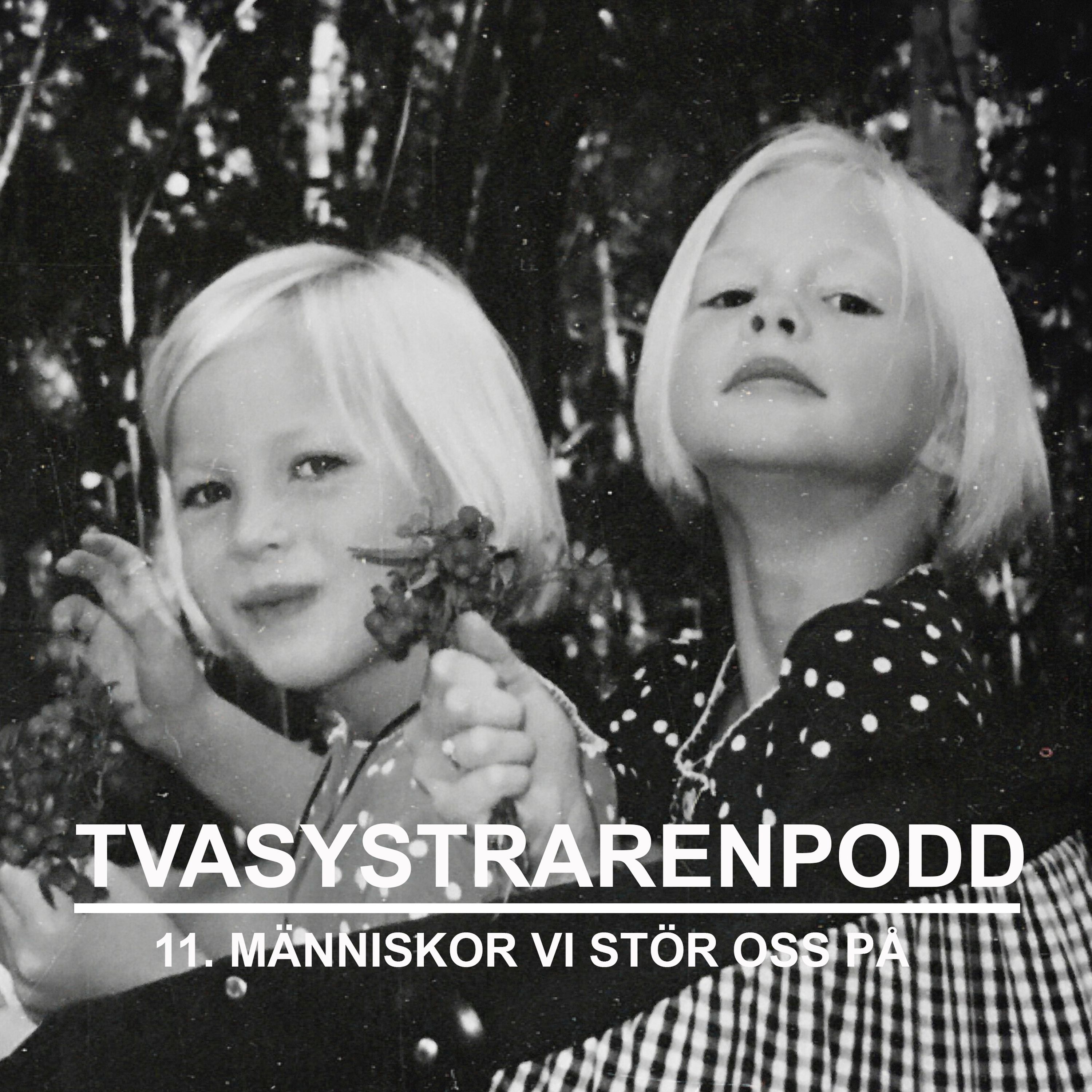 11. Människor vi stör oss på episode artwork