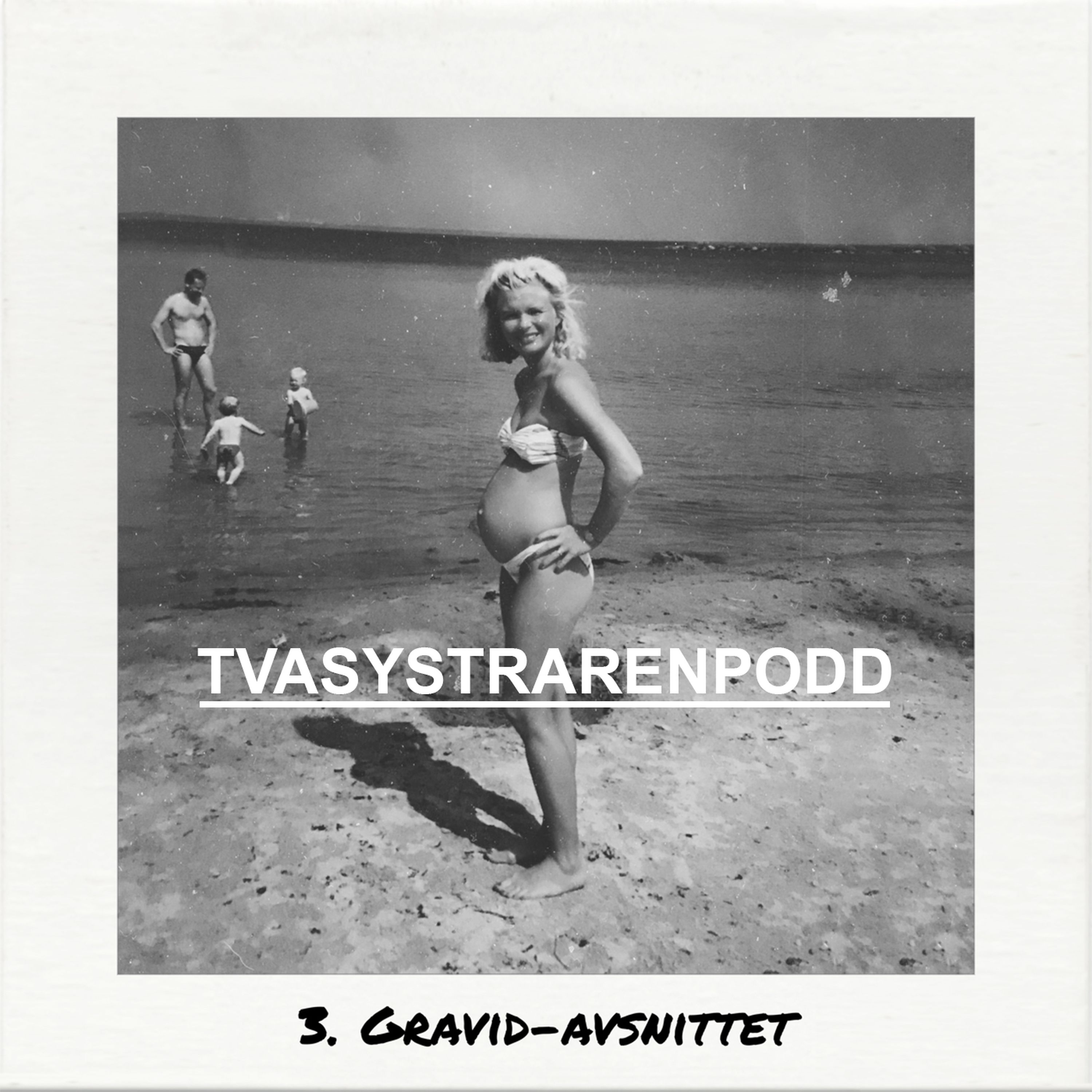 3. Gravid-avsnittet episode artwork