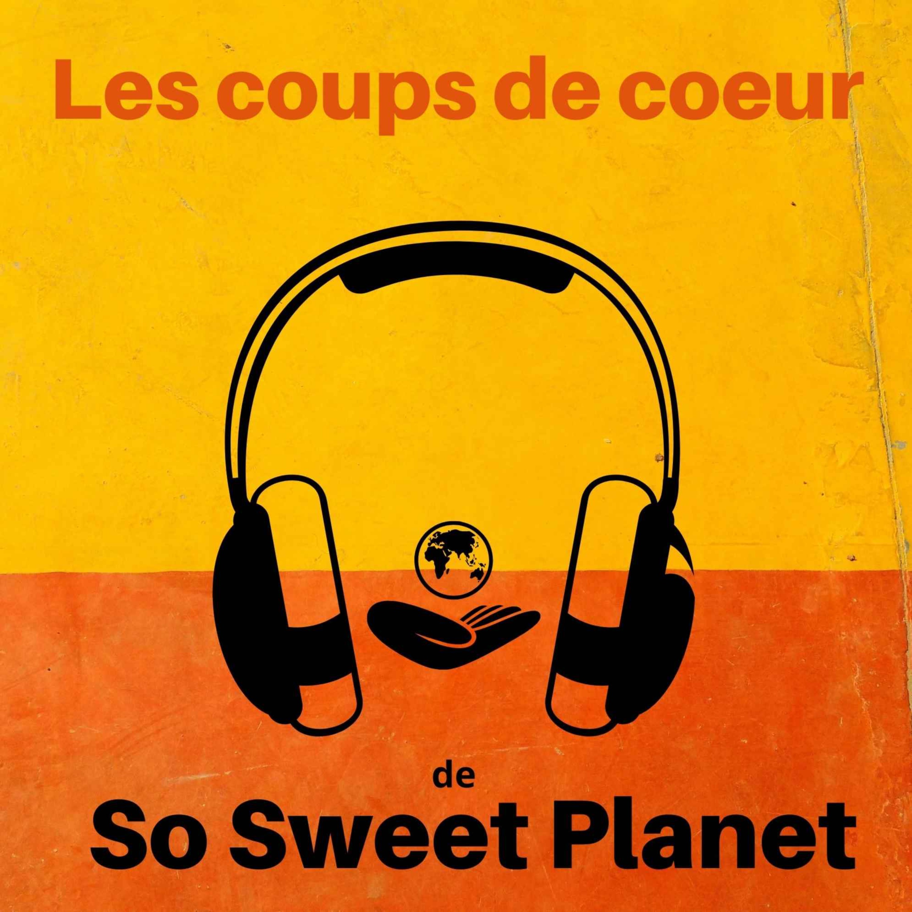 Les Coups de coeur de So Sweet Planet n°2. Livres, films, musique, événements, actu des ONG, documentaires, séries...