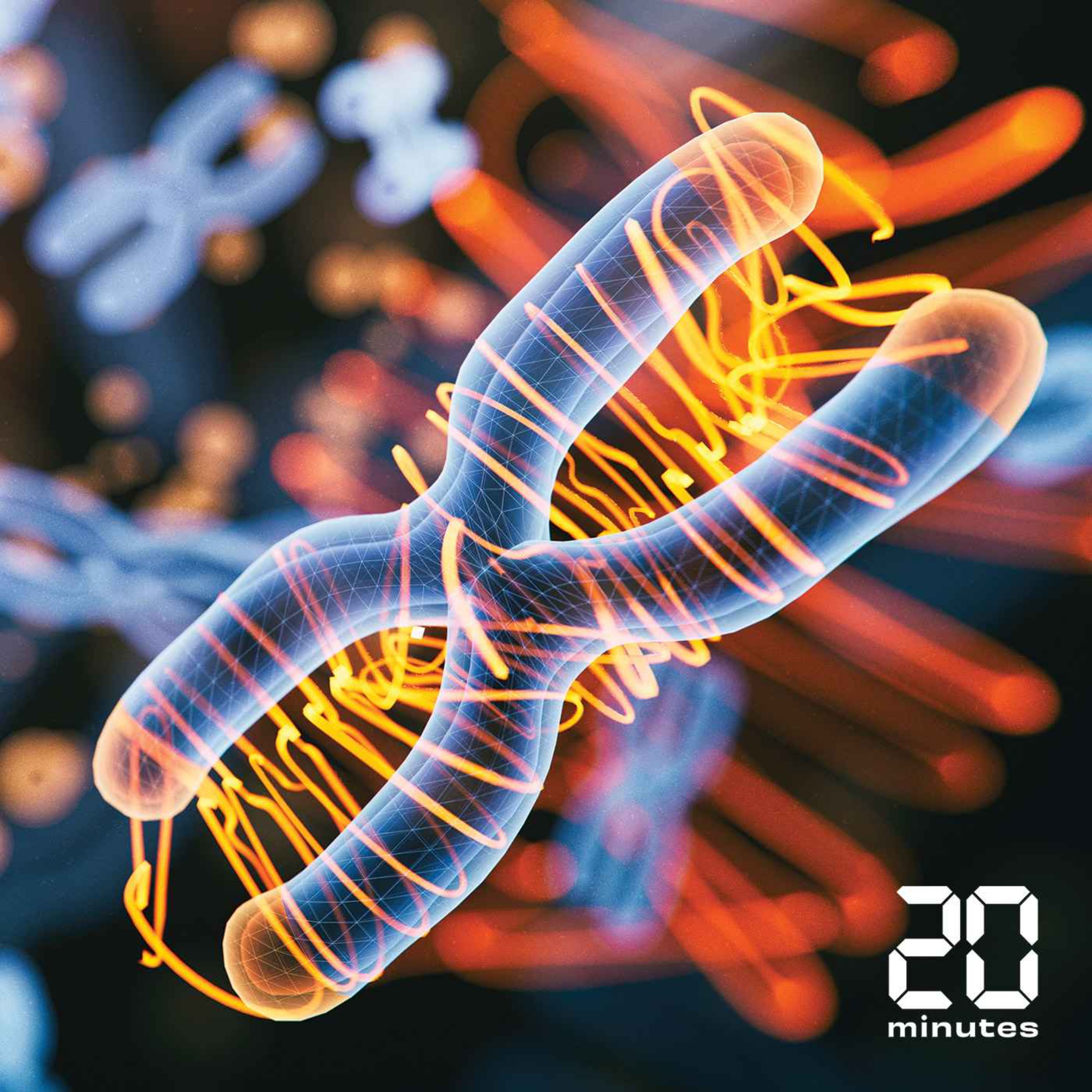 Vexas : une nouvelle maladie mortelle qui cible les hommes