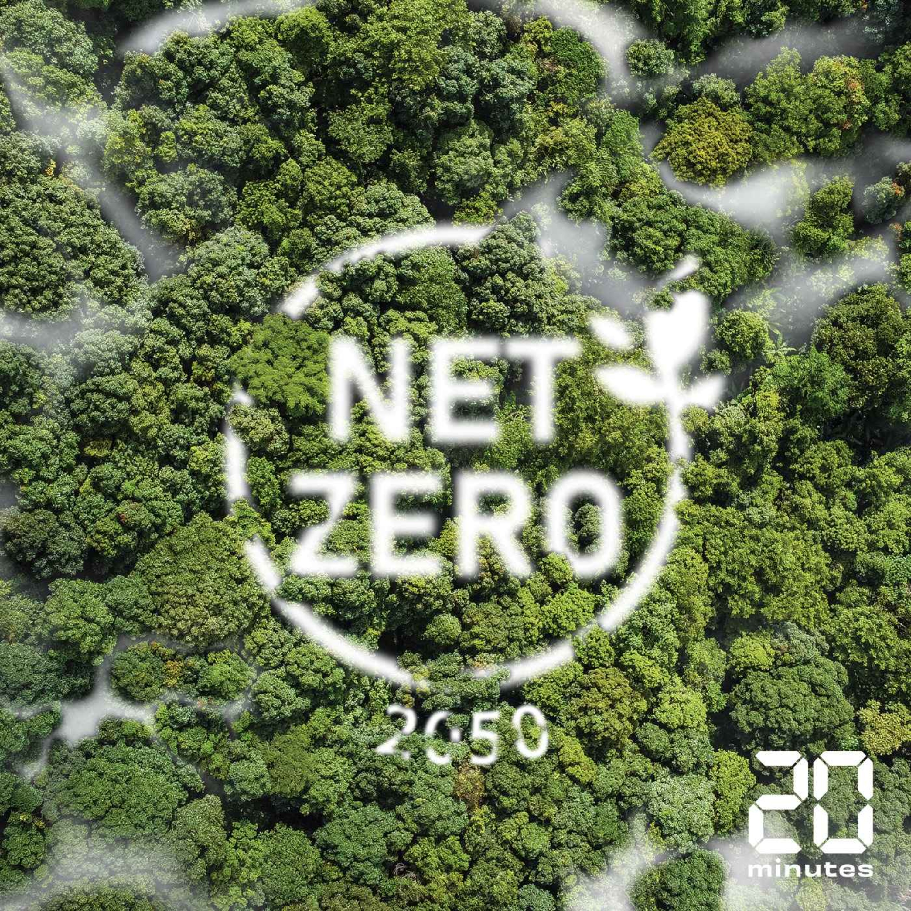 La reforestation est-elle partie pour se planter ?