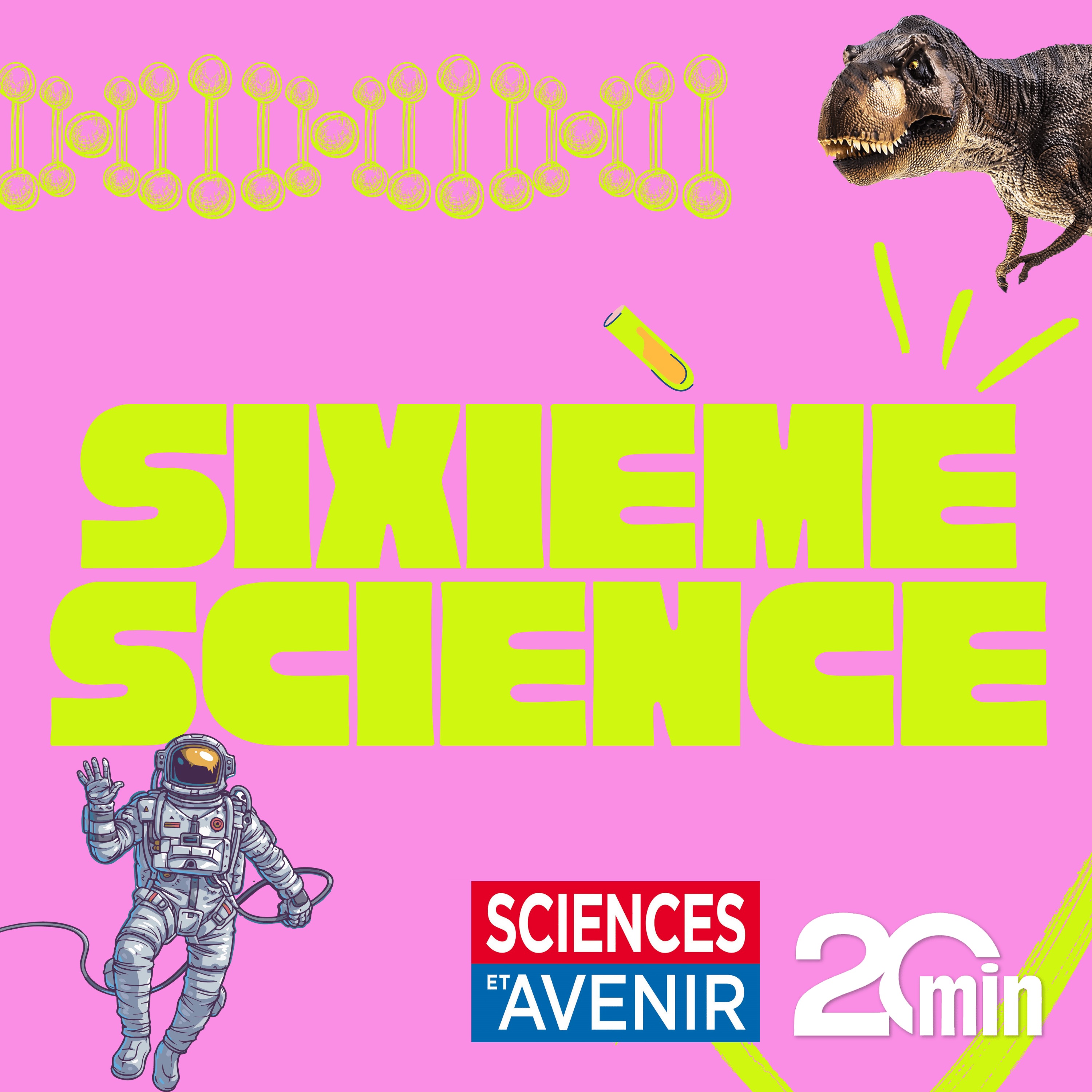 Sixième Science