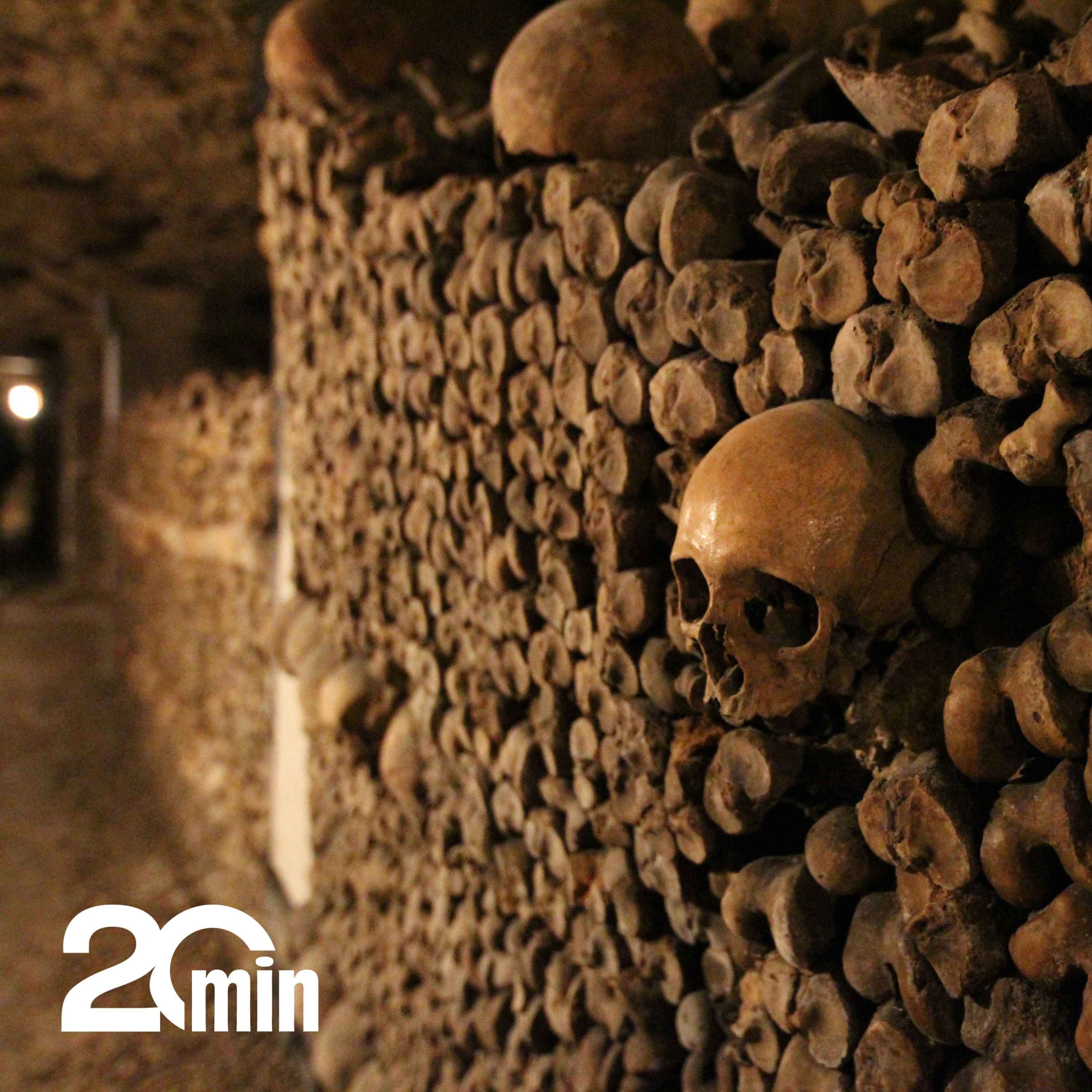 Les catacombes de Paris font peau neuve, on vous raconte