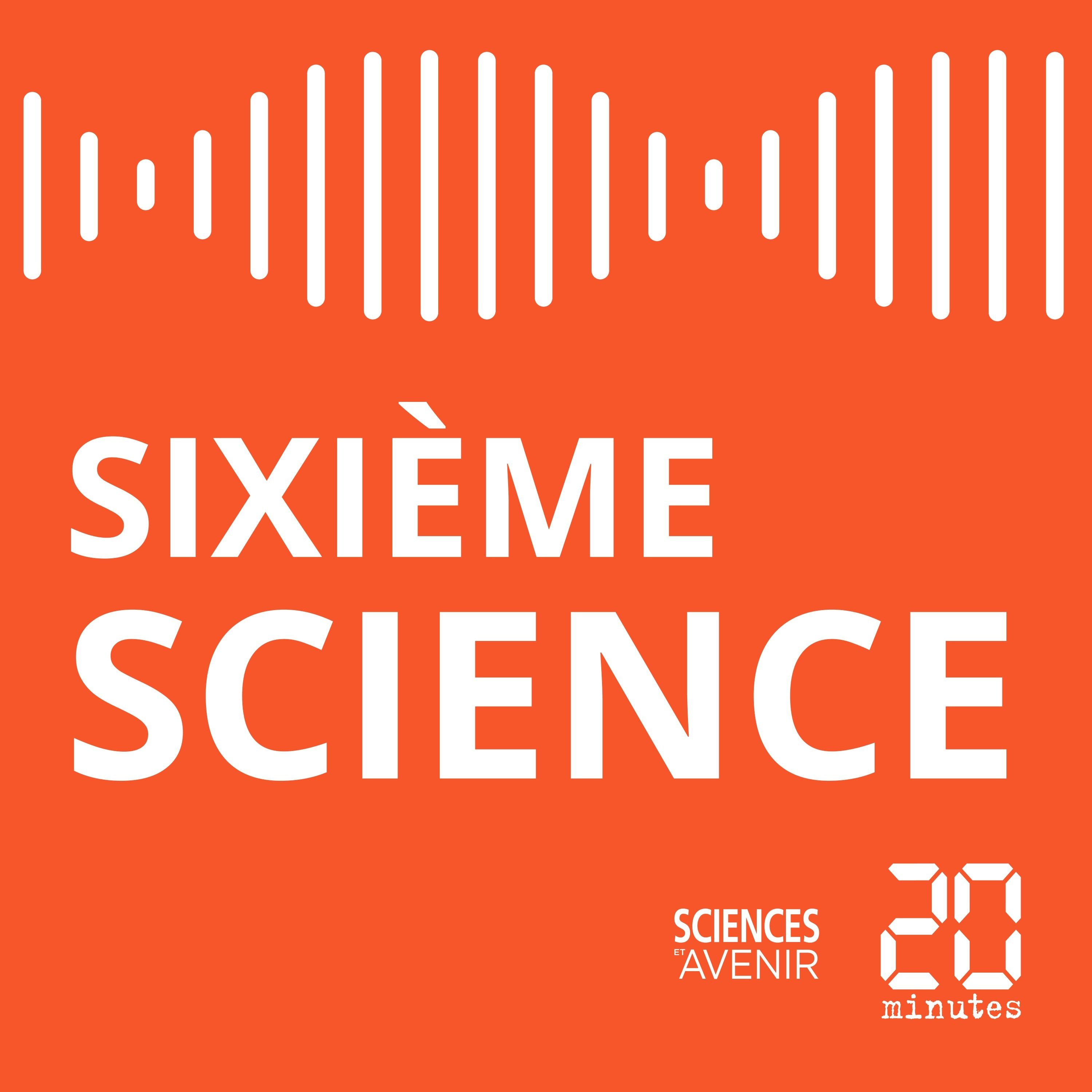Sixième Science