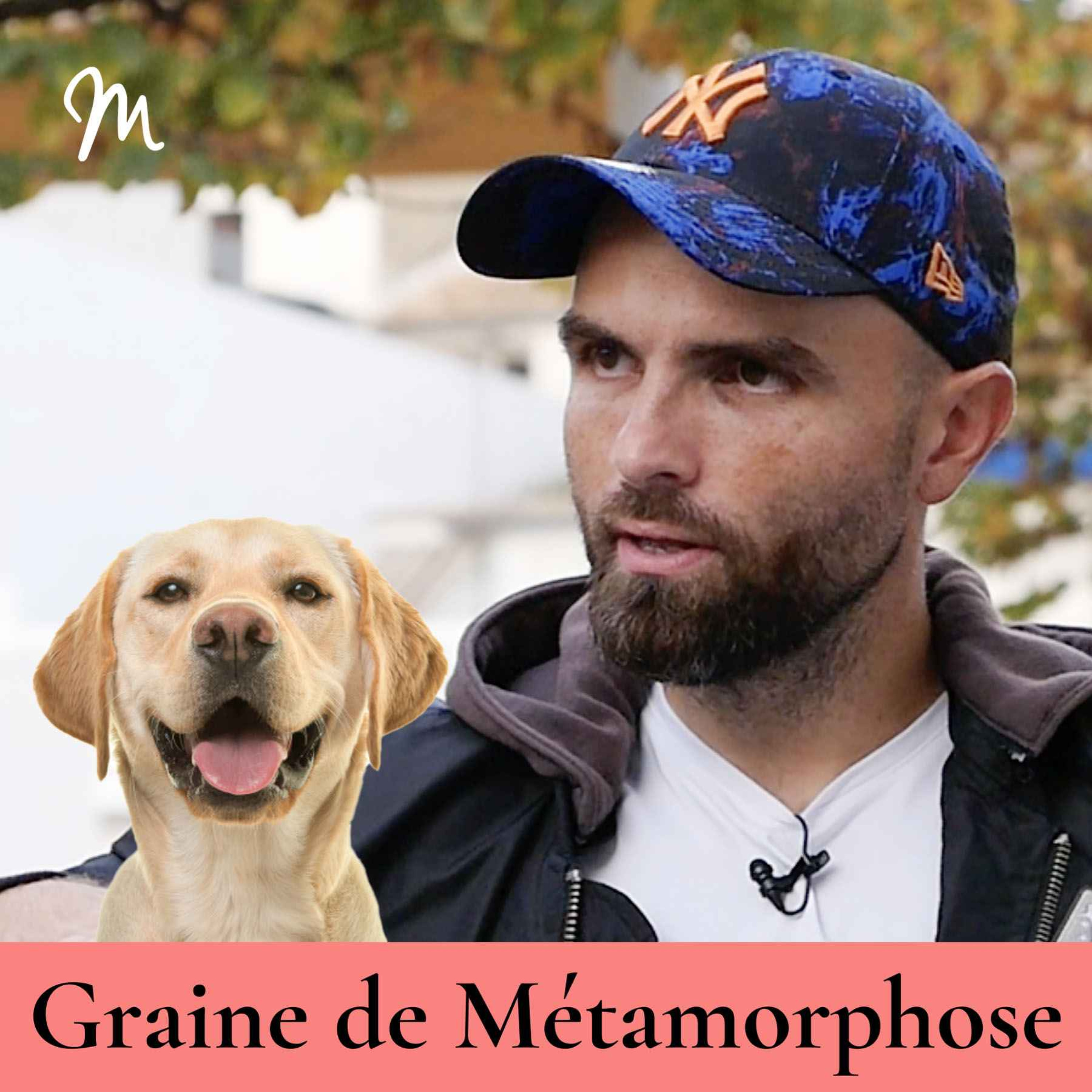 Eduquer son chien : les meilleurs conseils d’Esprit Dog avec Tony Silvestre #121 [Graine de Métamorphose]