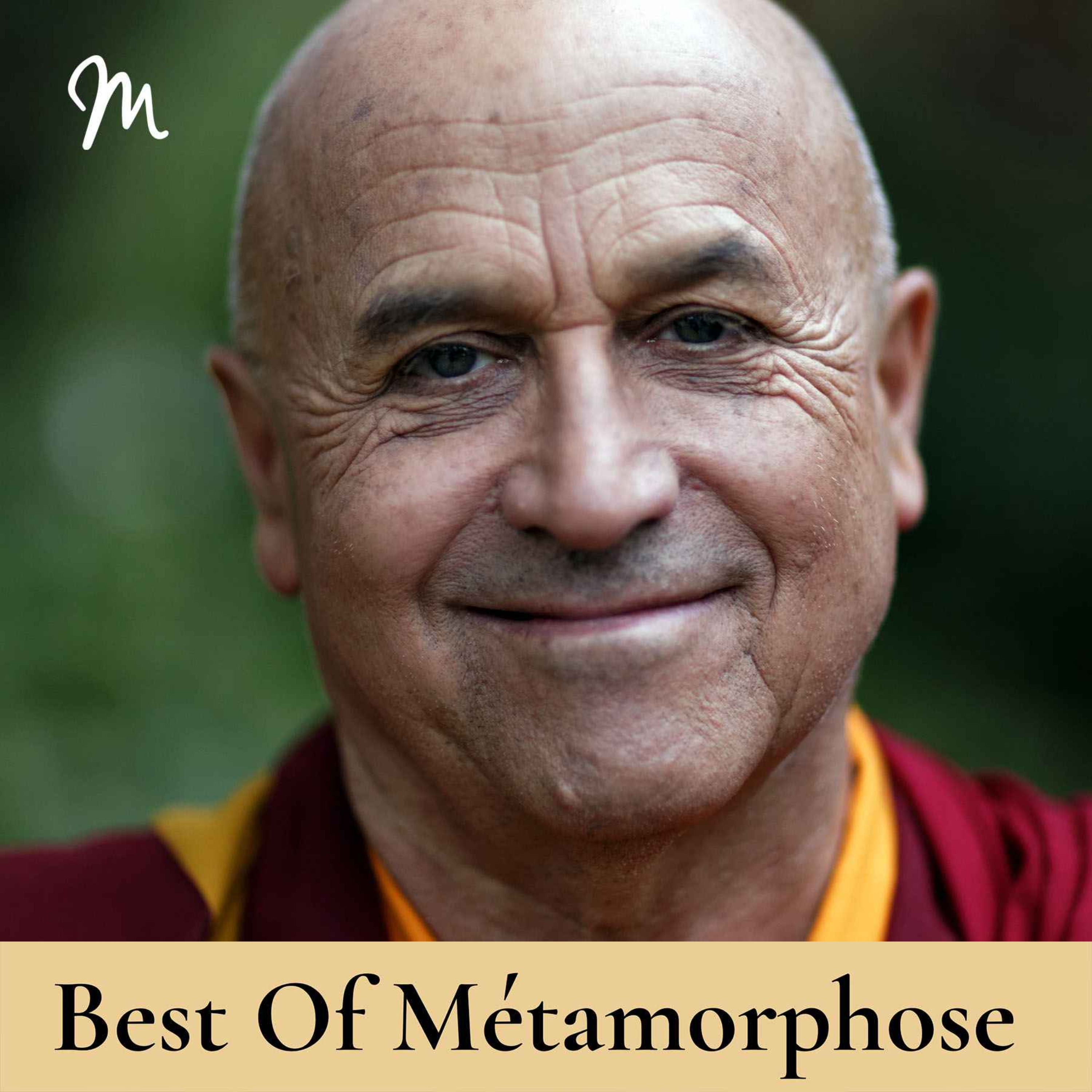 S'émerveiller, un chemin de vastitude intérieure avec Matthieu Ricard  [rediffusion]