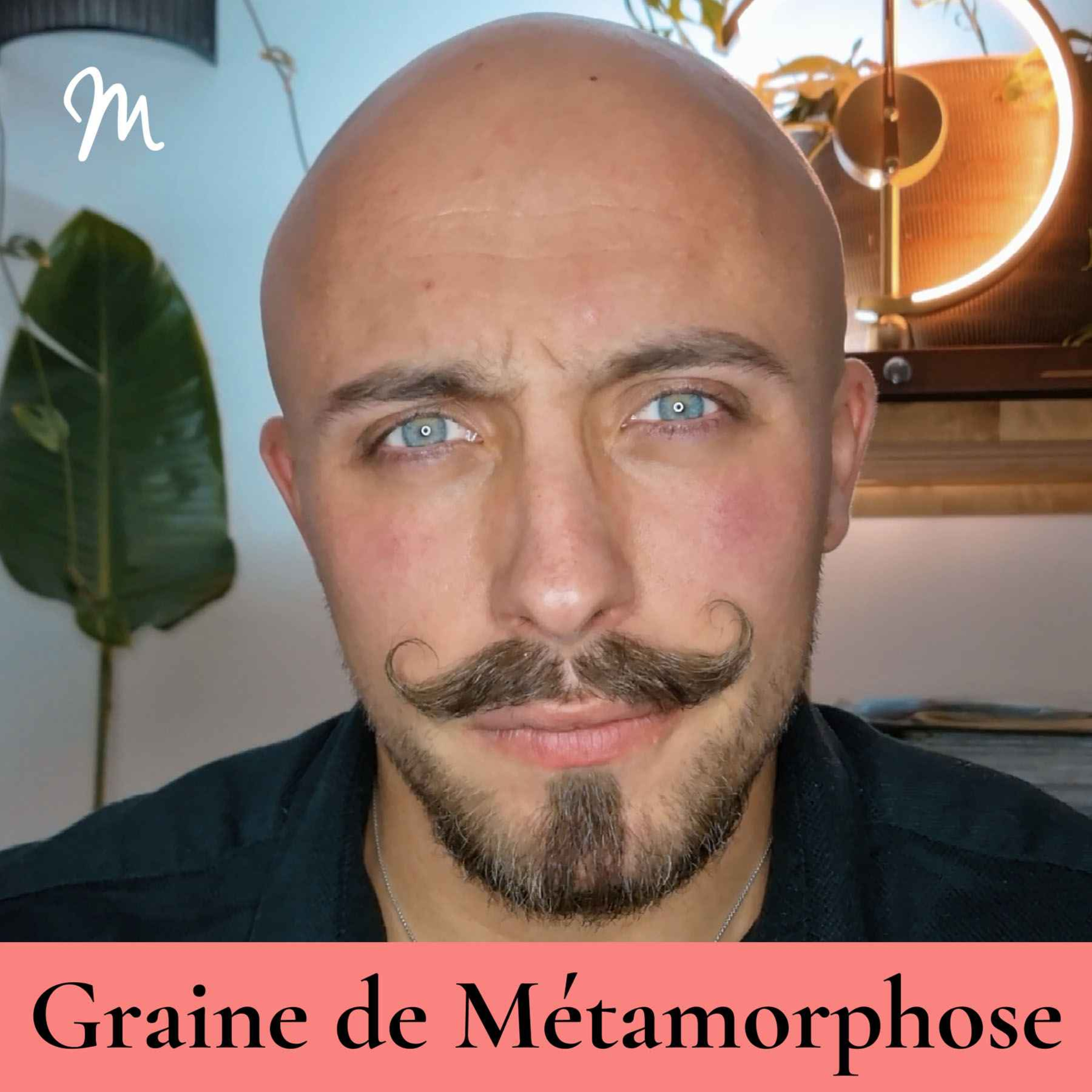 Métamorphose, éveille ta conscience ! – Se réconcilier avec son alimentation : la fin des injonctions ! avec le diététicien Nicolas Da Silva %23129