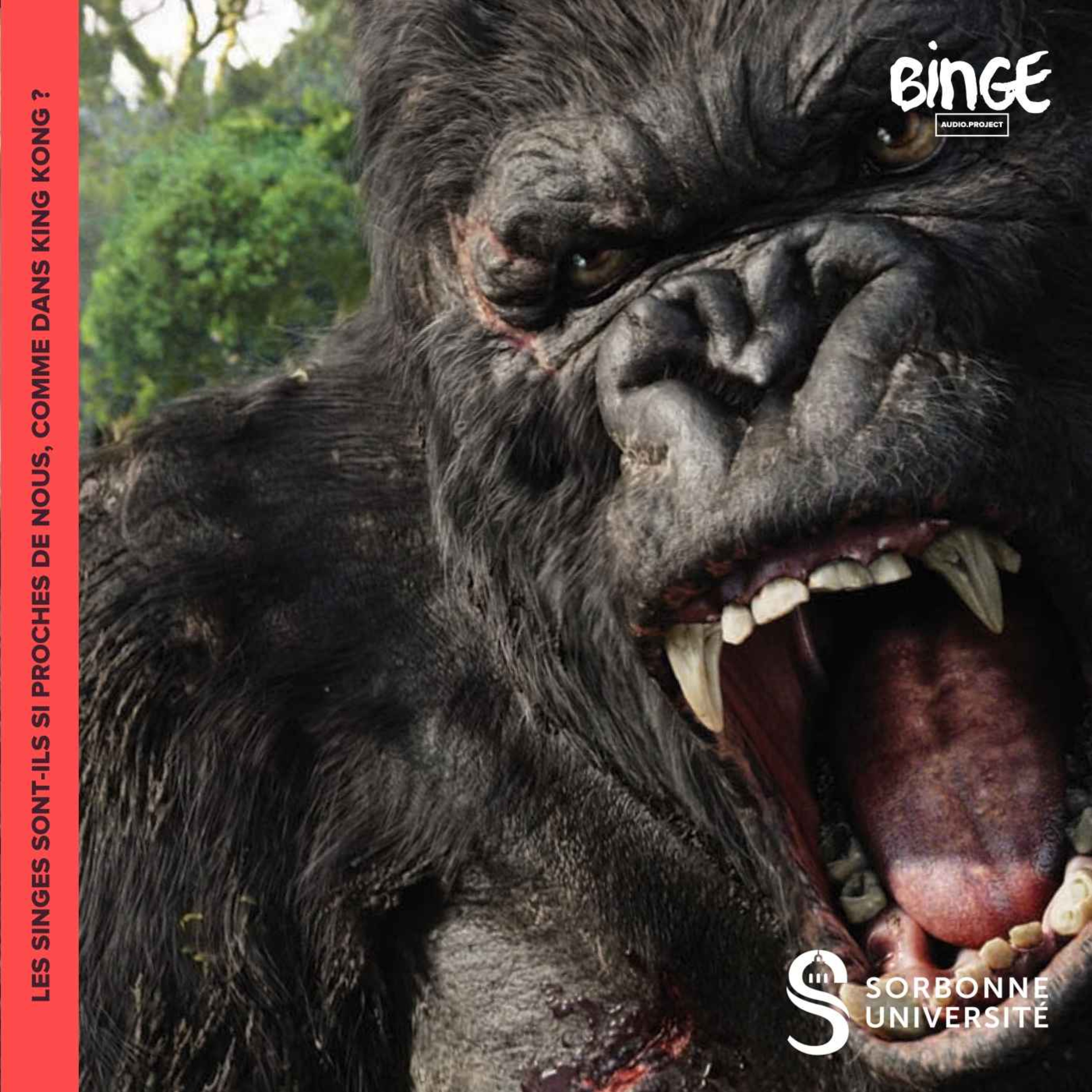 cover art for Les singes sont-ils si proches de nous, comme dans King Kong ? 