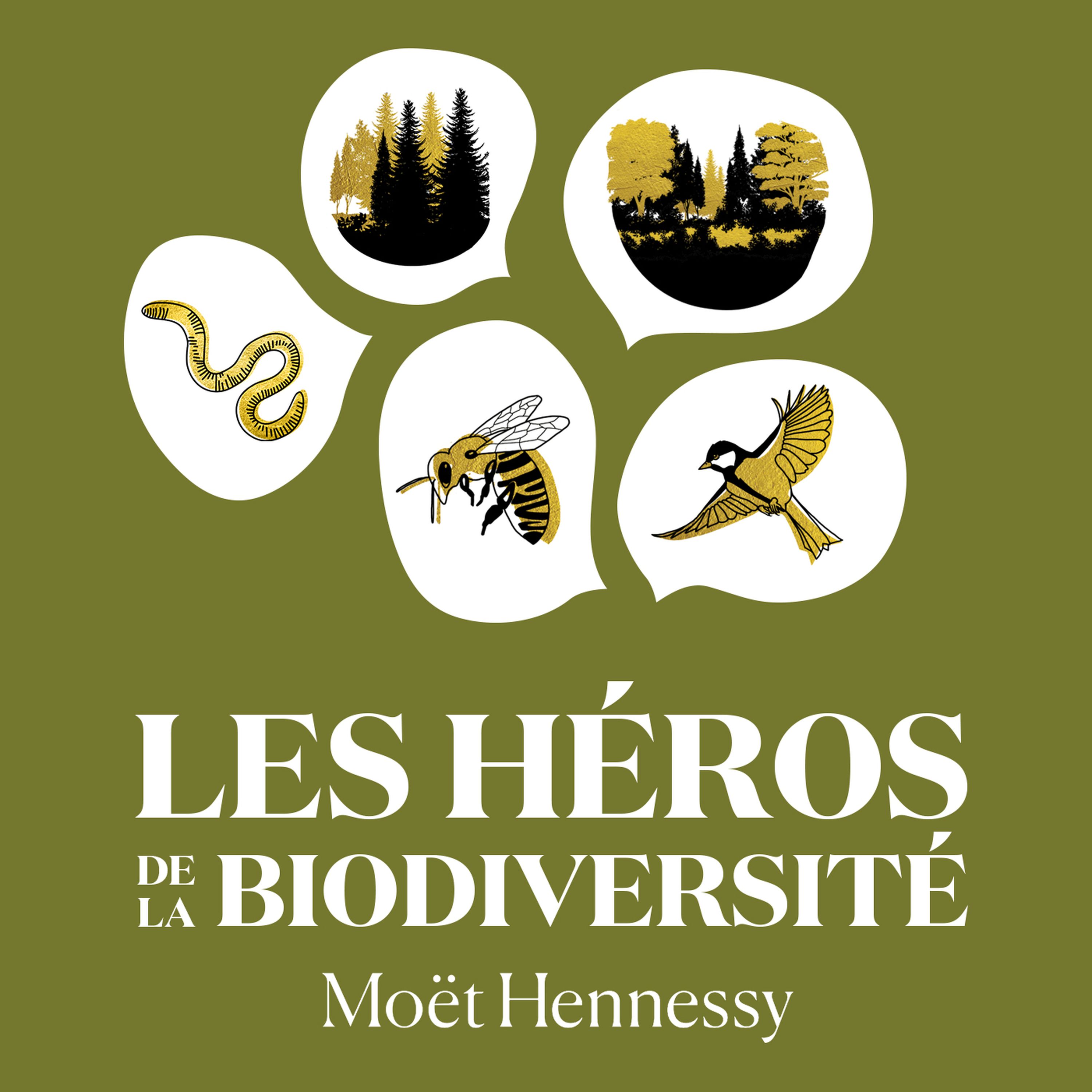 cover art for Bande-annonce | Les héros de la biodiversité