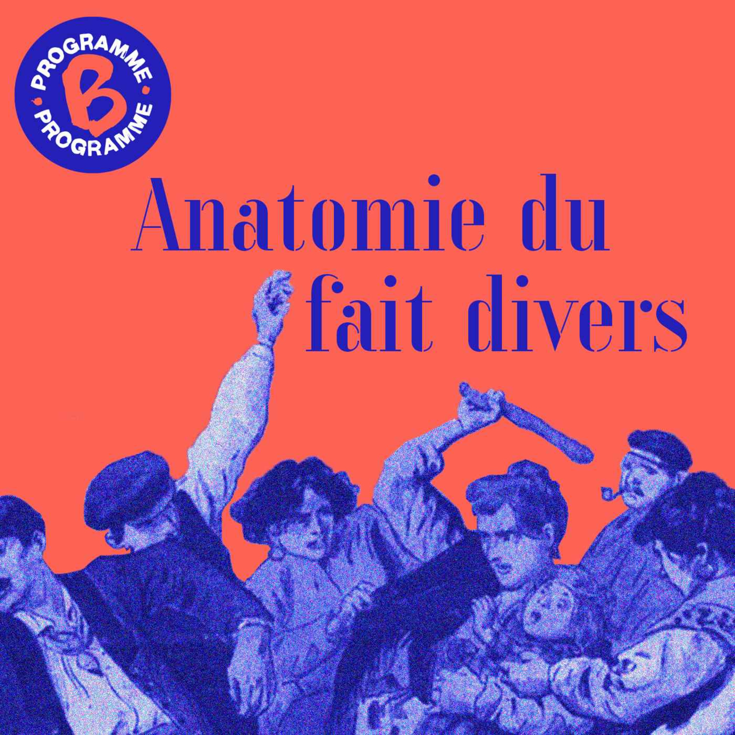 cover art for Anatomie du fait divers : le fait historique 