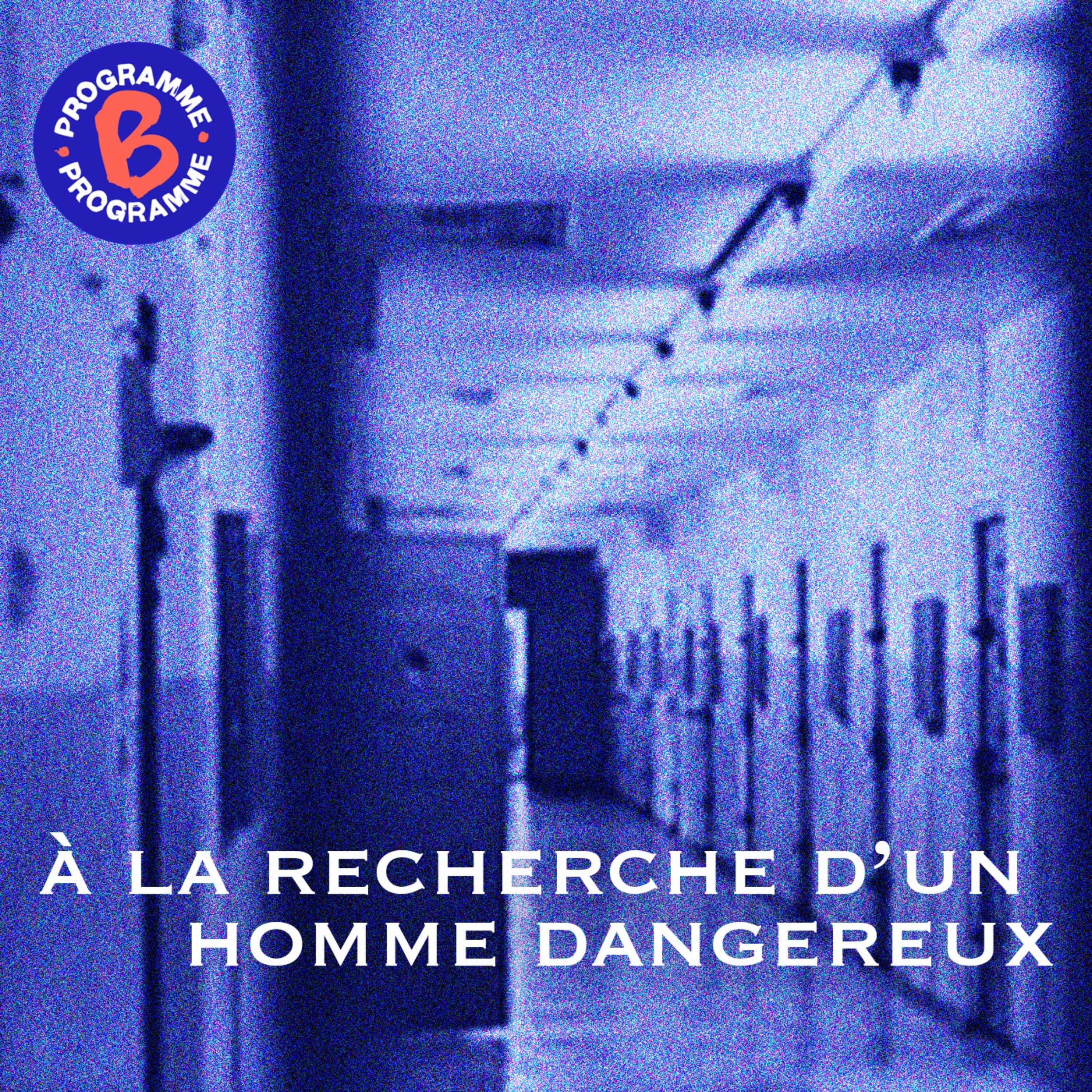 cover art for À la recherche d'un homme dangereux 