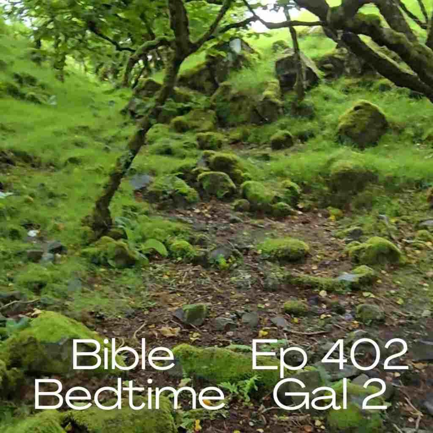 Gal 2: Paul Argues with Peter