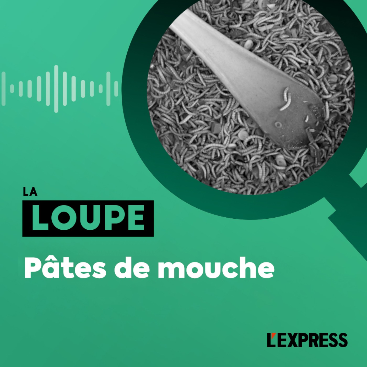 cover art for Pâtes de mouche