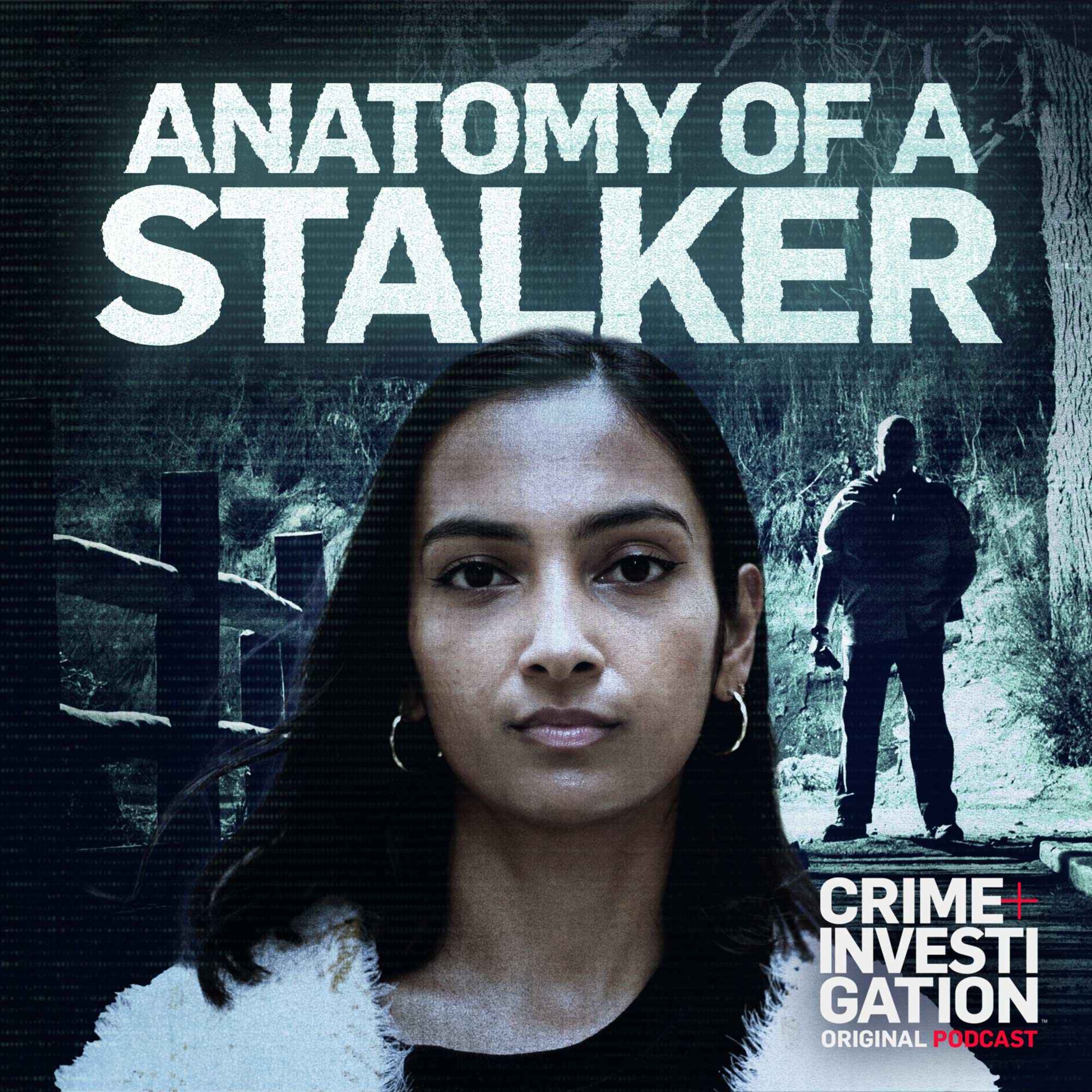 cover art for Introducing brand new series Anatomy of a Stalker