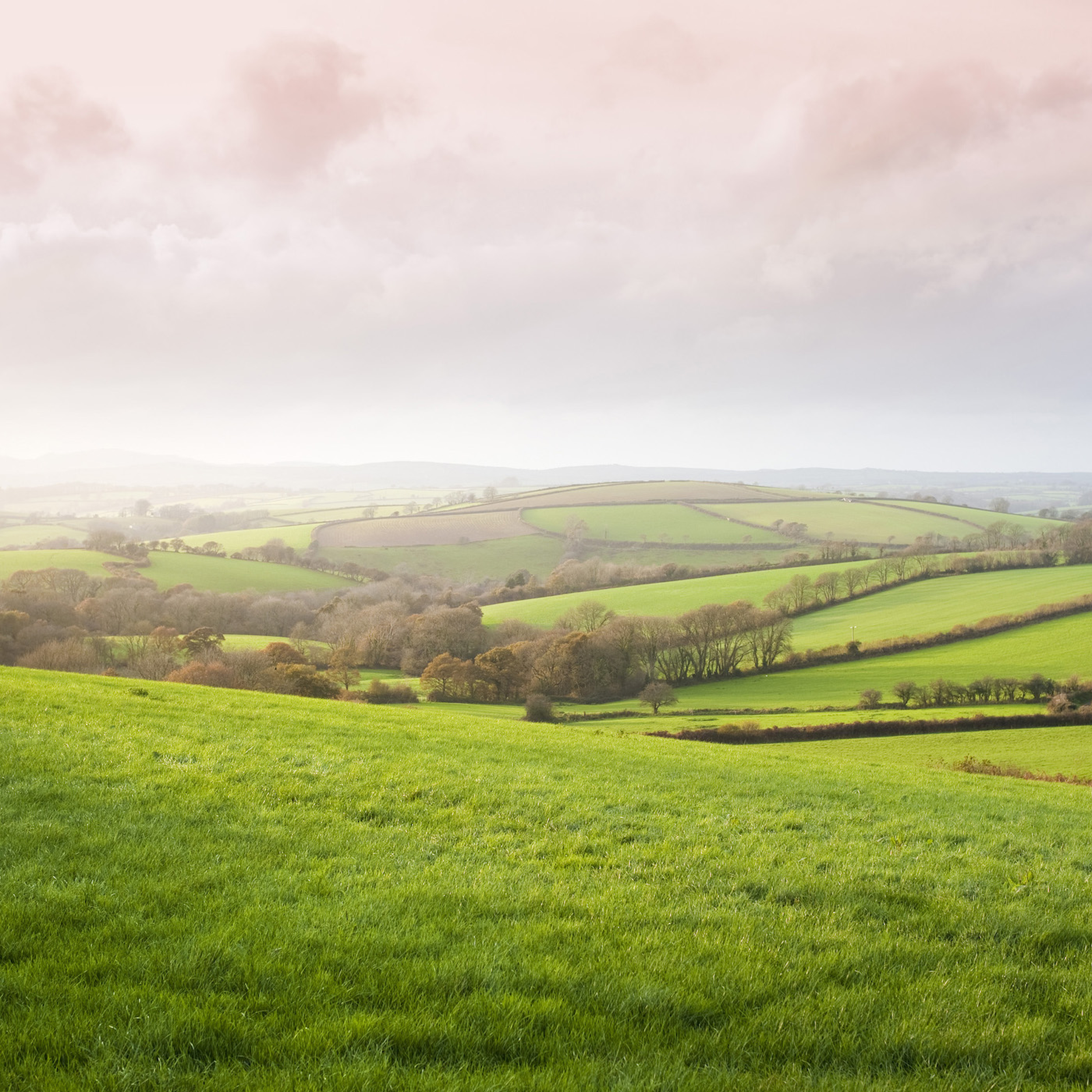 The Things That Made England