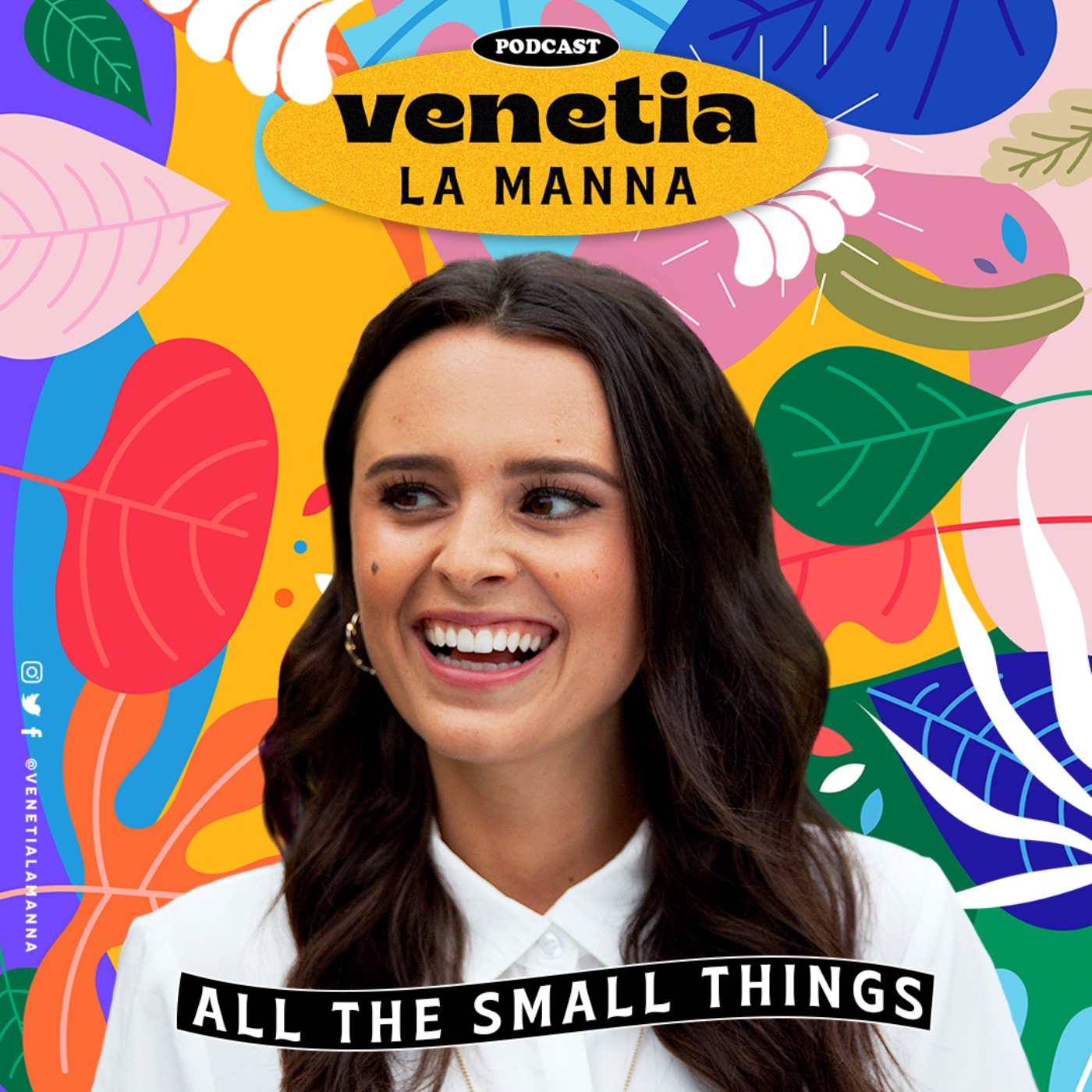All The Small Things podcast