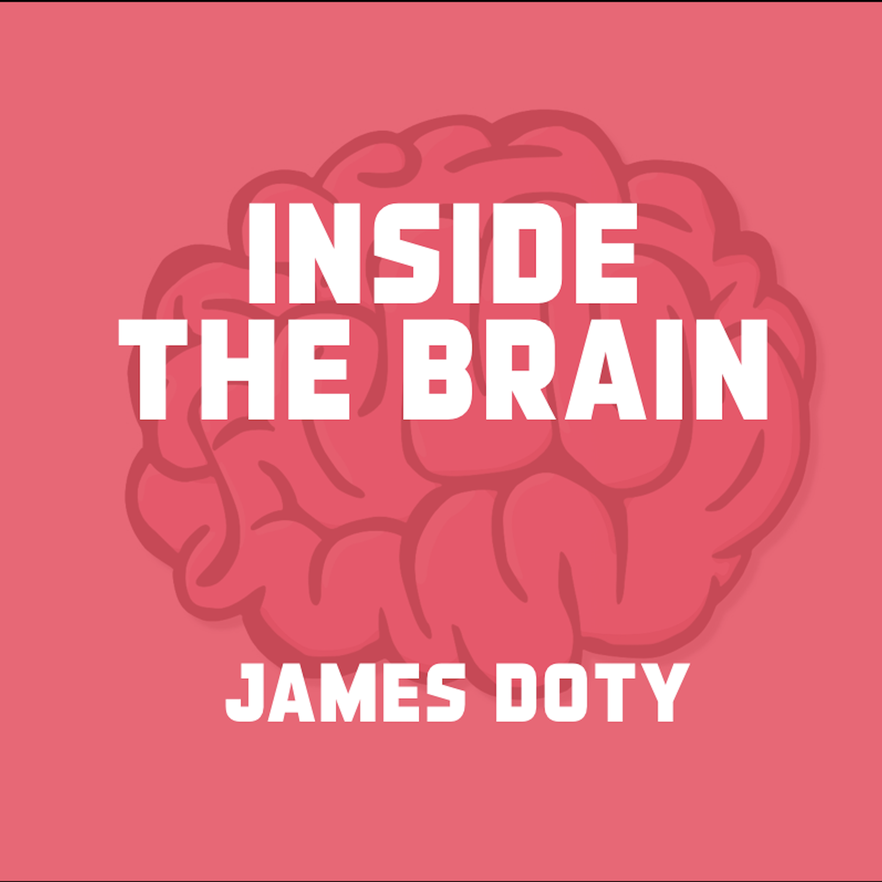 cover art for Inside the Brain - A Neuroscientist Explains