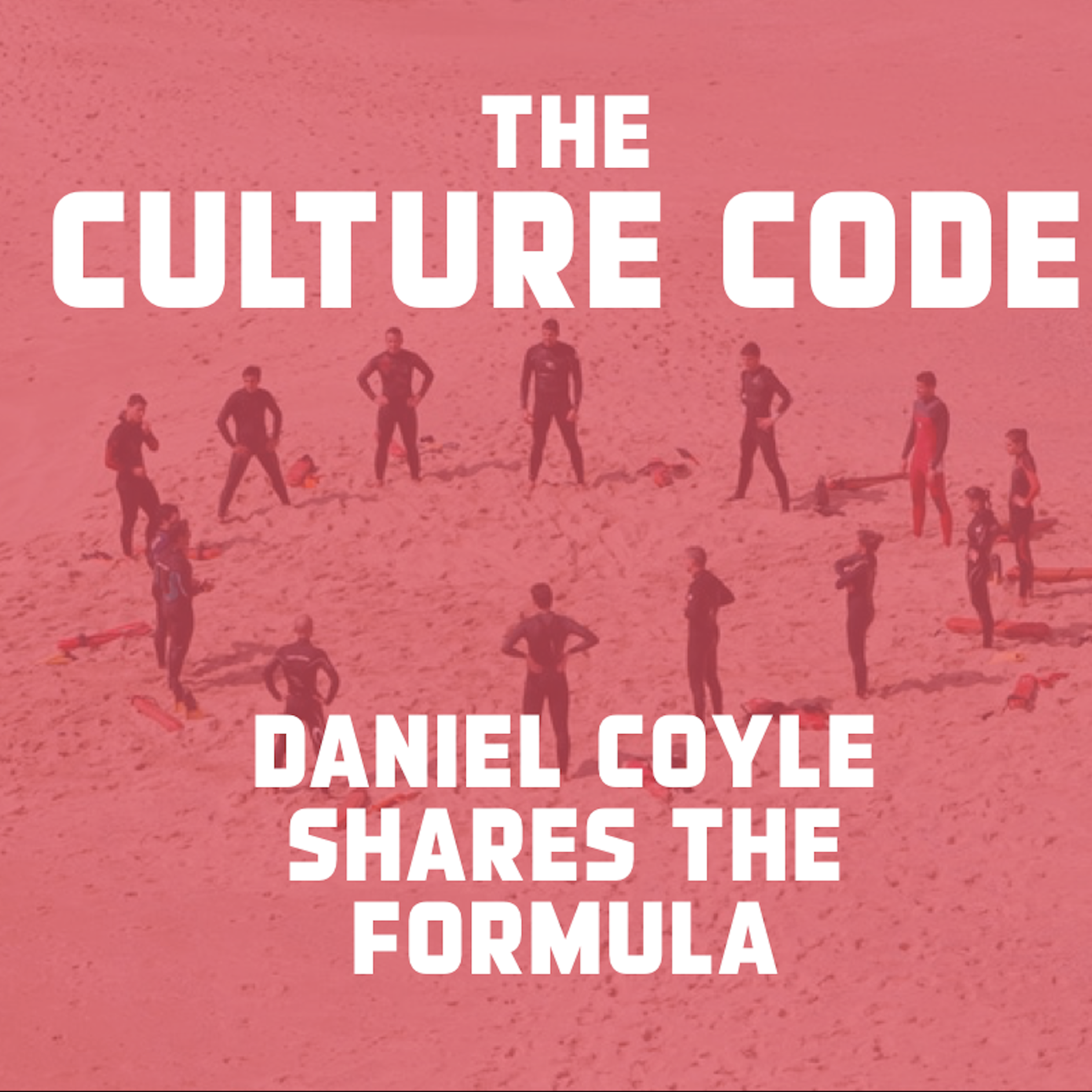 cover art for The Culture Code - the best culture book of 2018