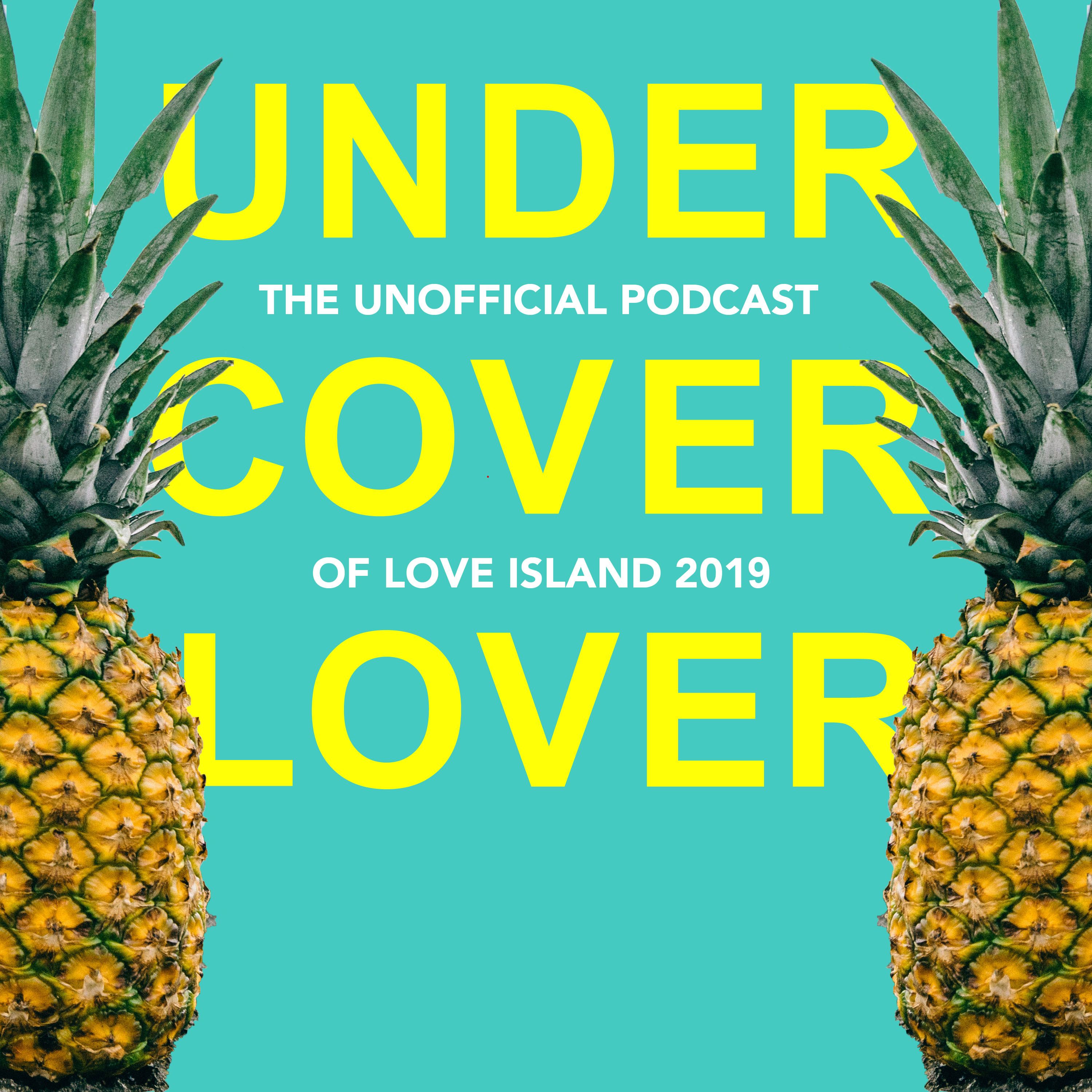 Undercover Lover