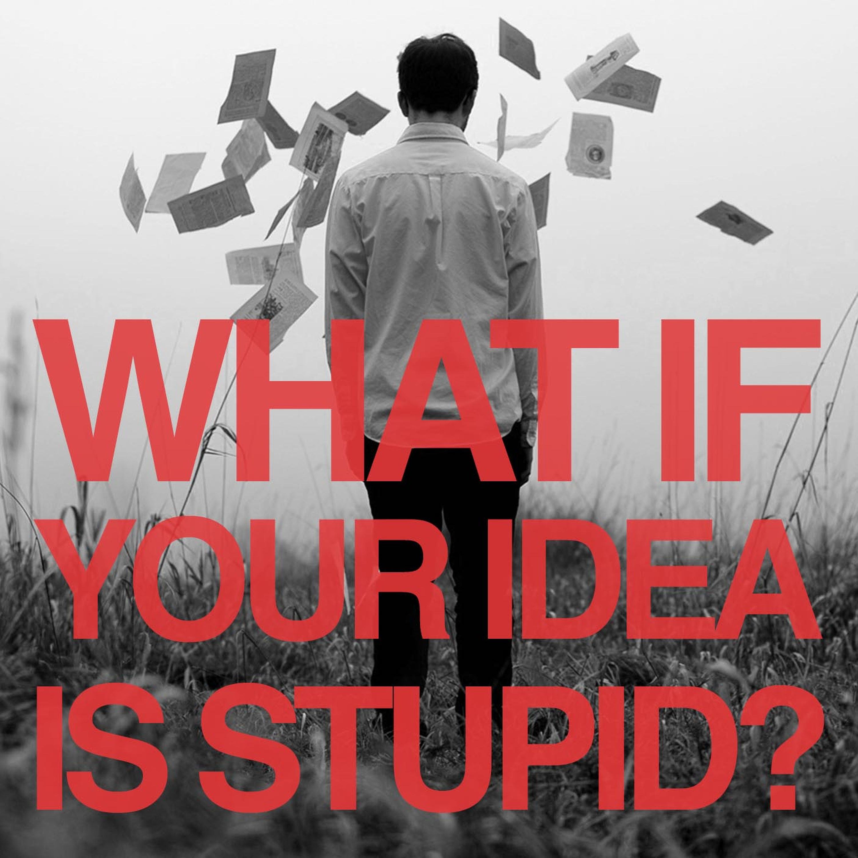cover art for What If Your Idea Is Stupid?