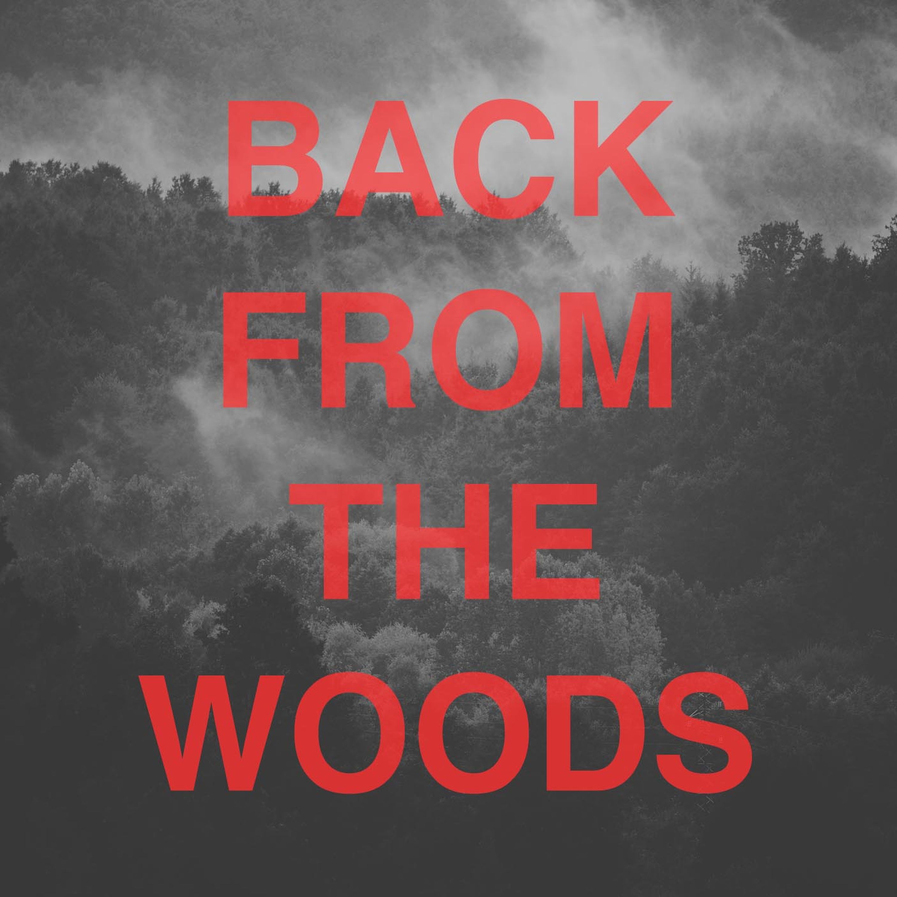 cover art for Back From The Woods