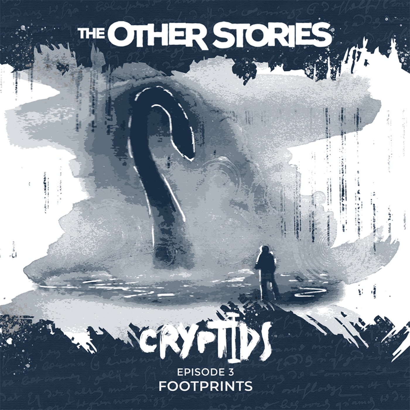 cover art for 91.3 Footprints