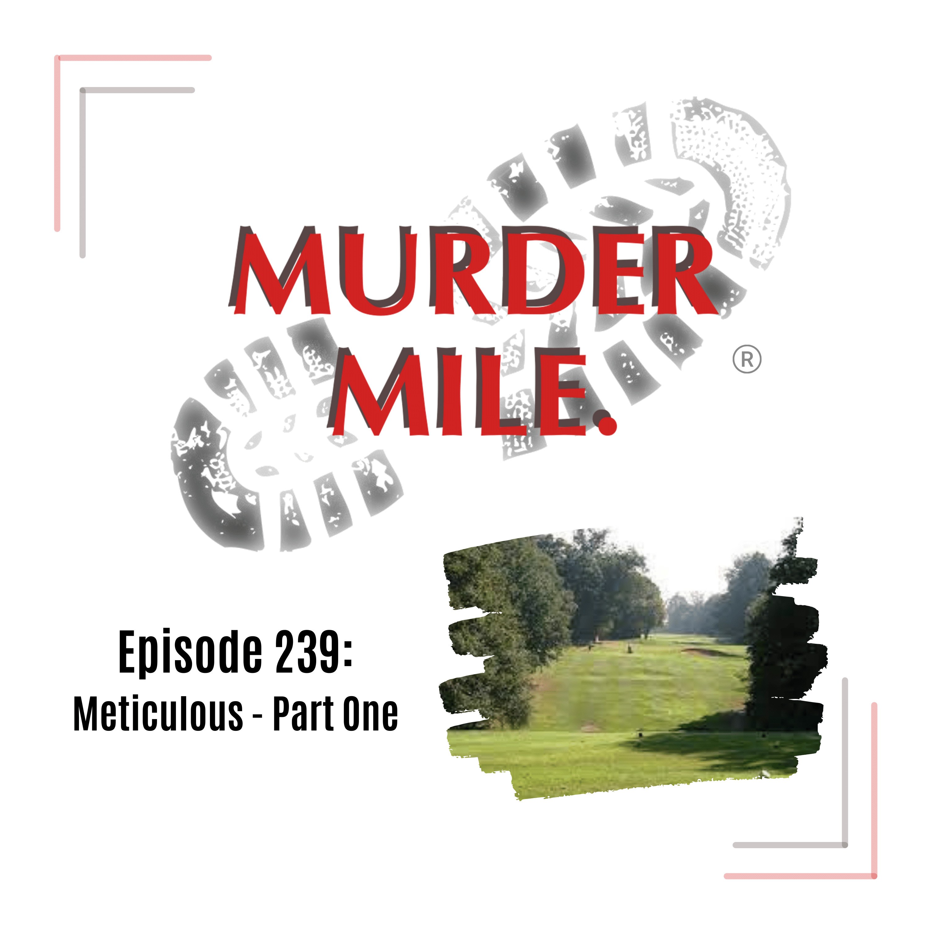 #239 - Meticulous - Part 1 (The Body)