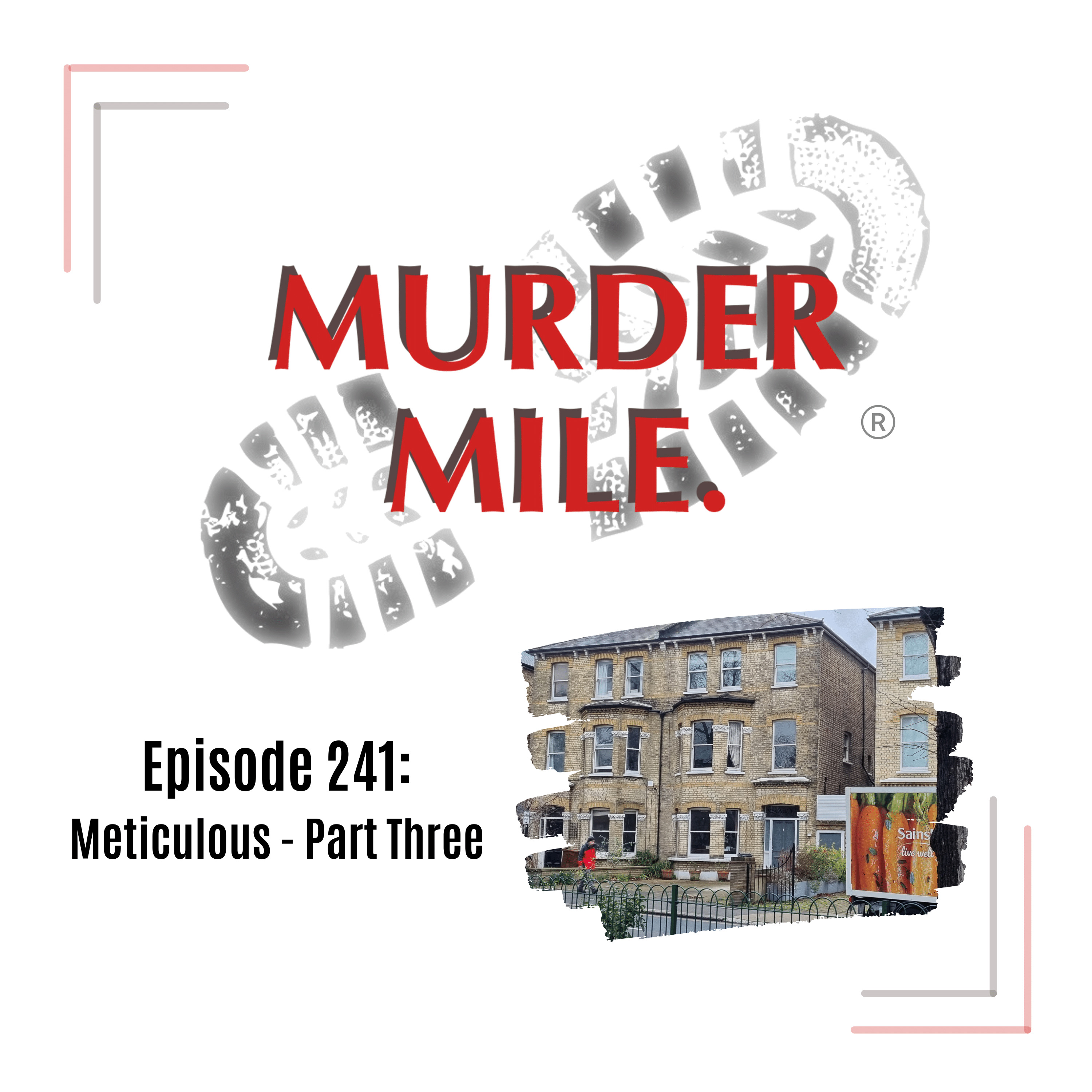 #241 - Meticulous - Part Three (The Suspect)