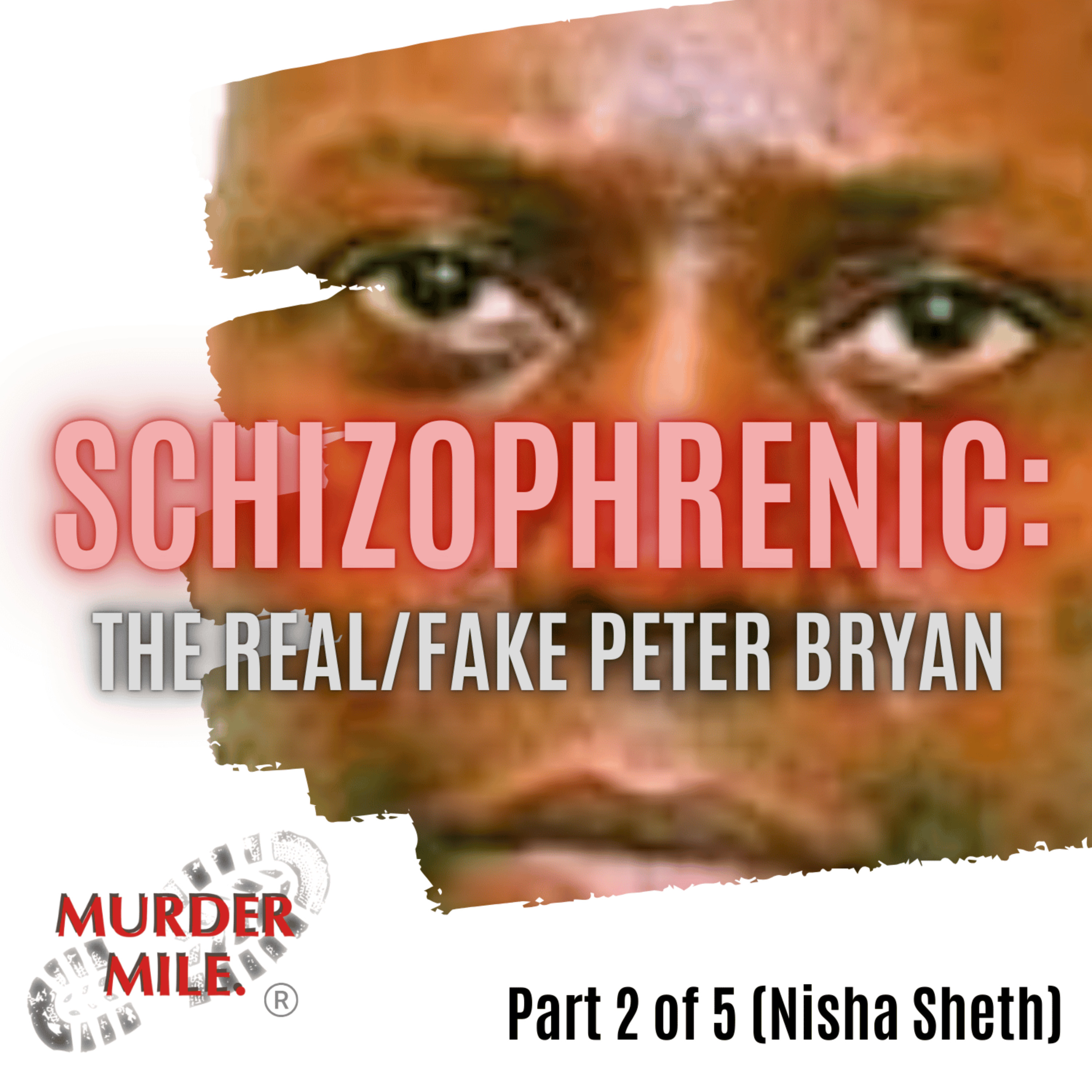 #299 - Schizophrenic: The Real/Fake Peter Bryan - Part Two (Nisha Shesh)