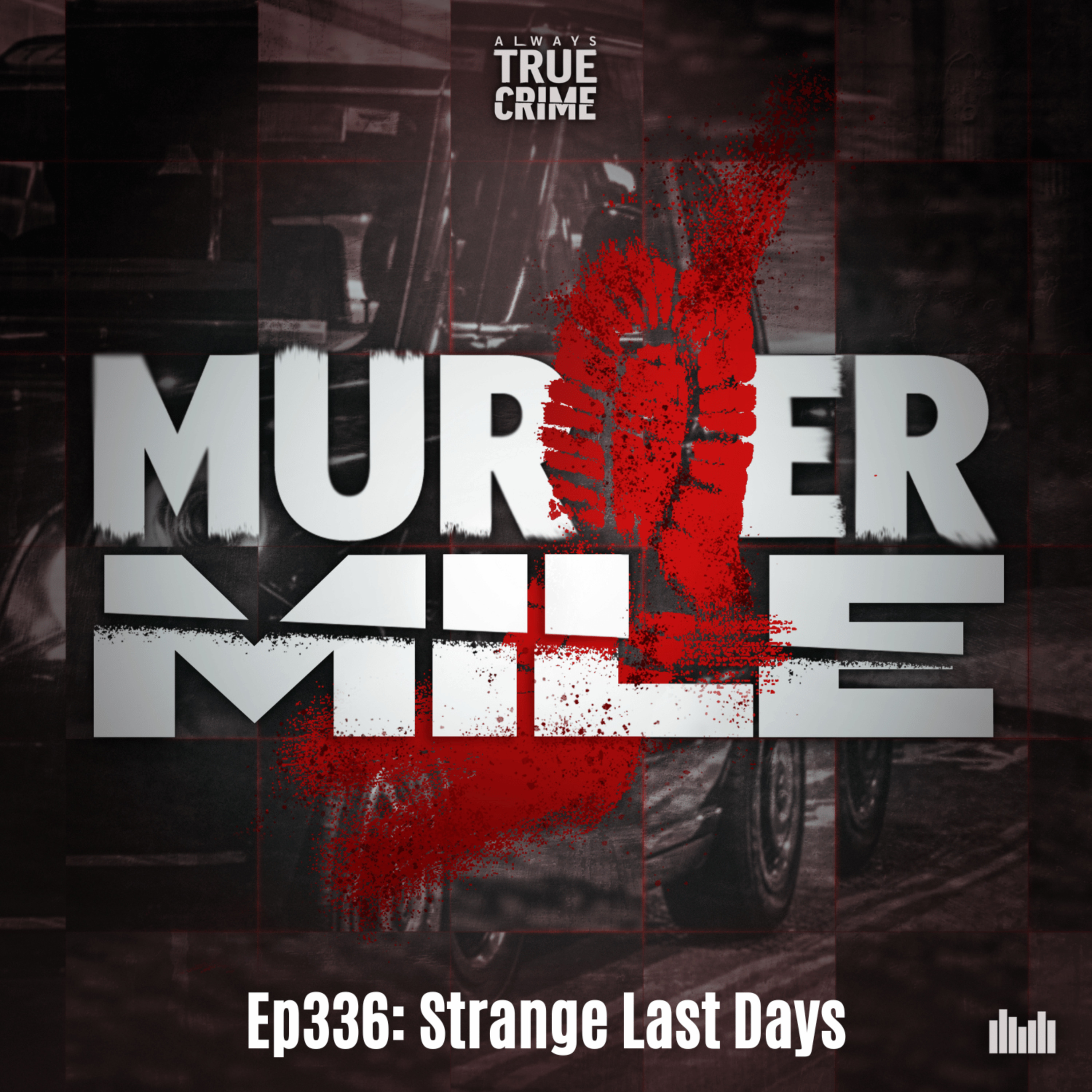 #336 - Strange Last Days (Karoline Getta Jones, Kilburn, NW6)