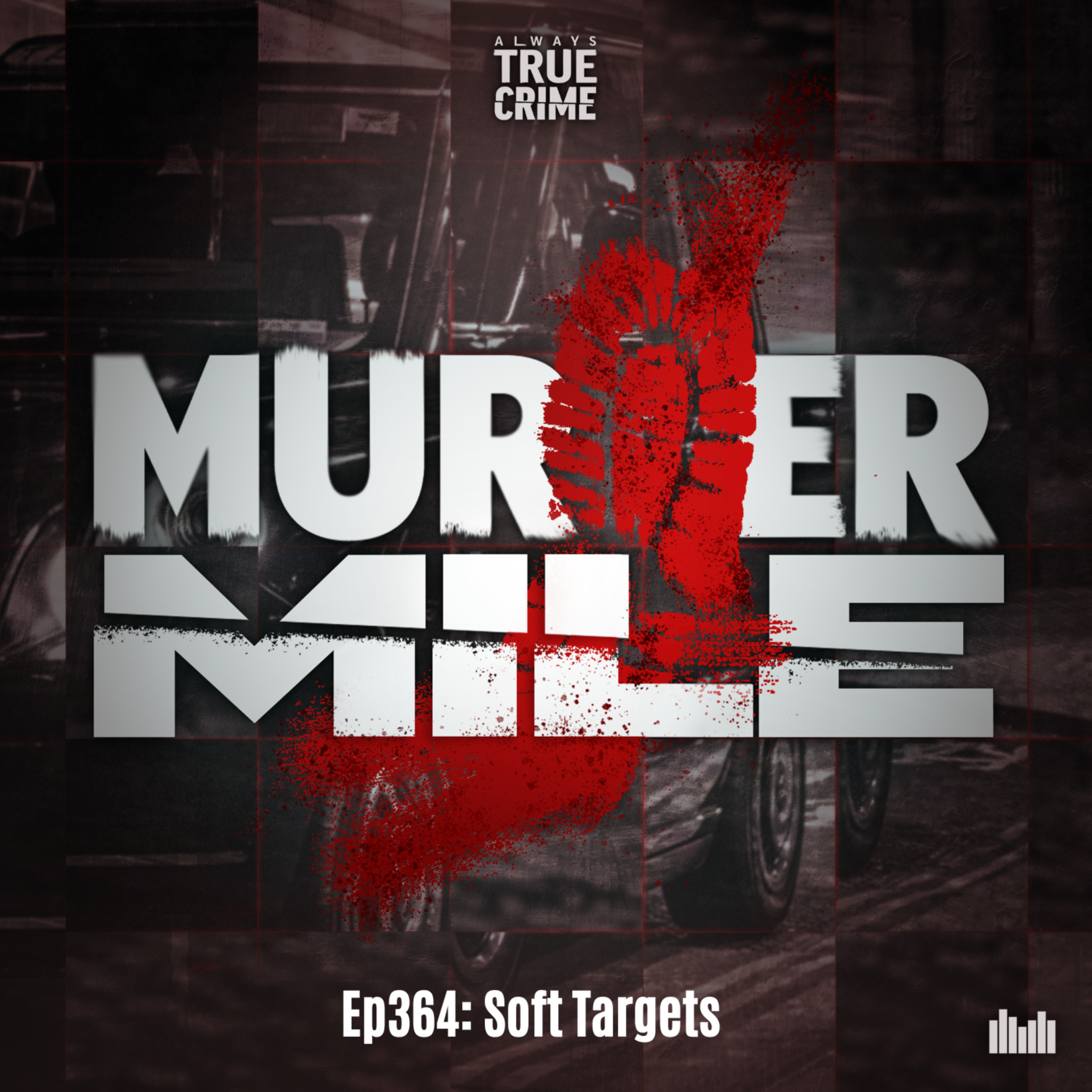 #364 - Soft Targets (Lichfield, Private William Robert Davies) episode artwork