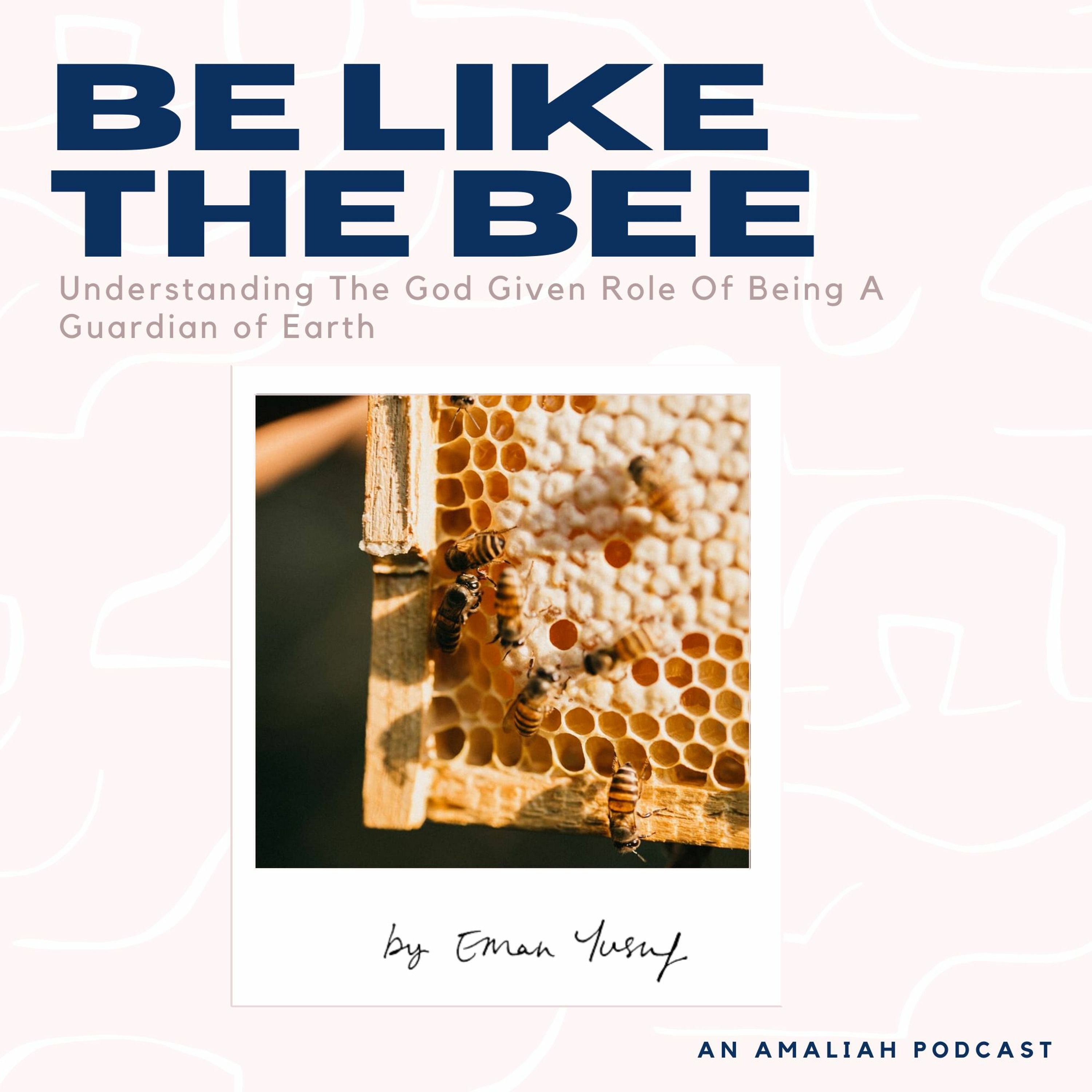 The Amaliah Podcast
