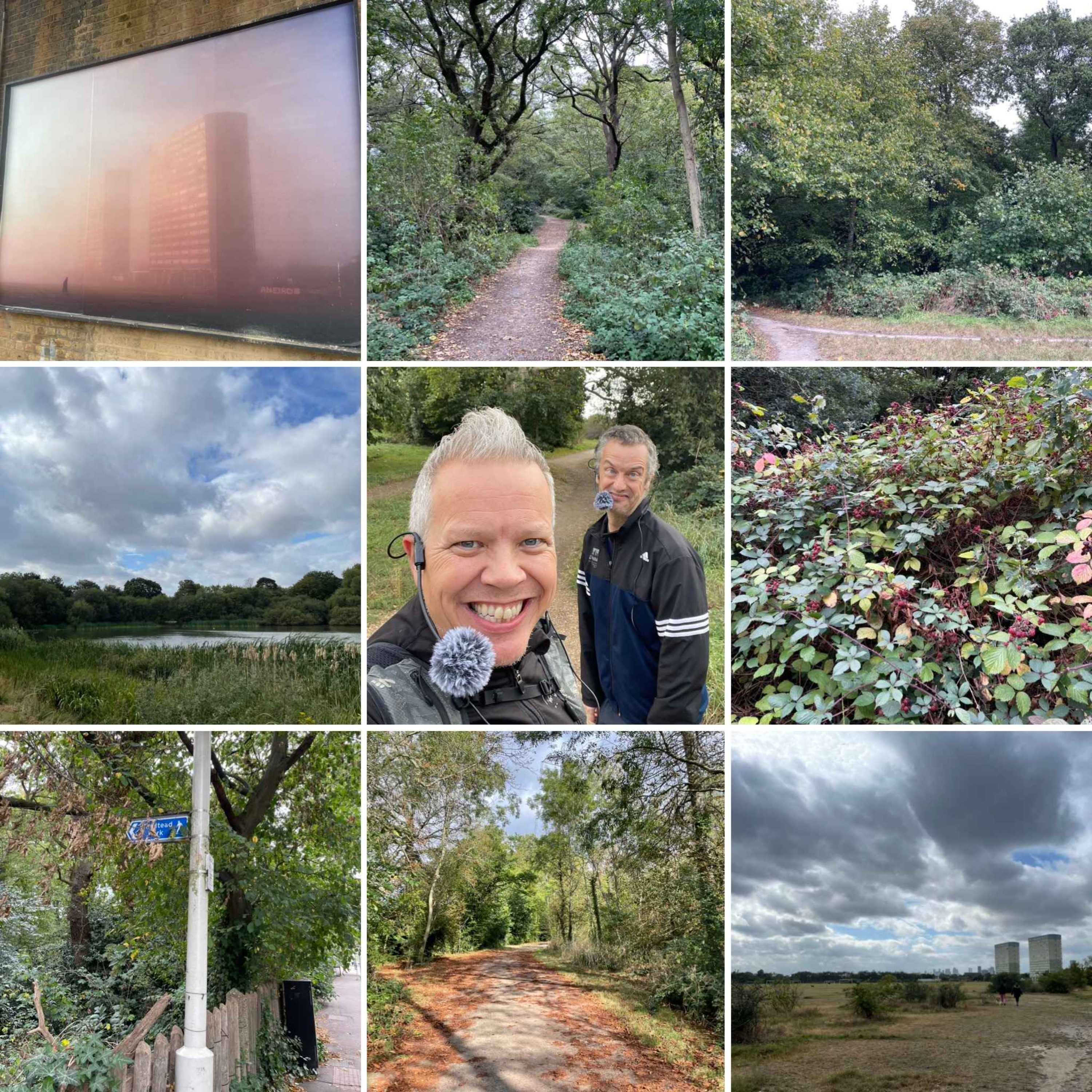 The Hound Of Wanstead Flats