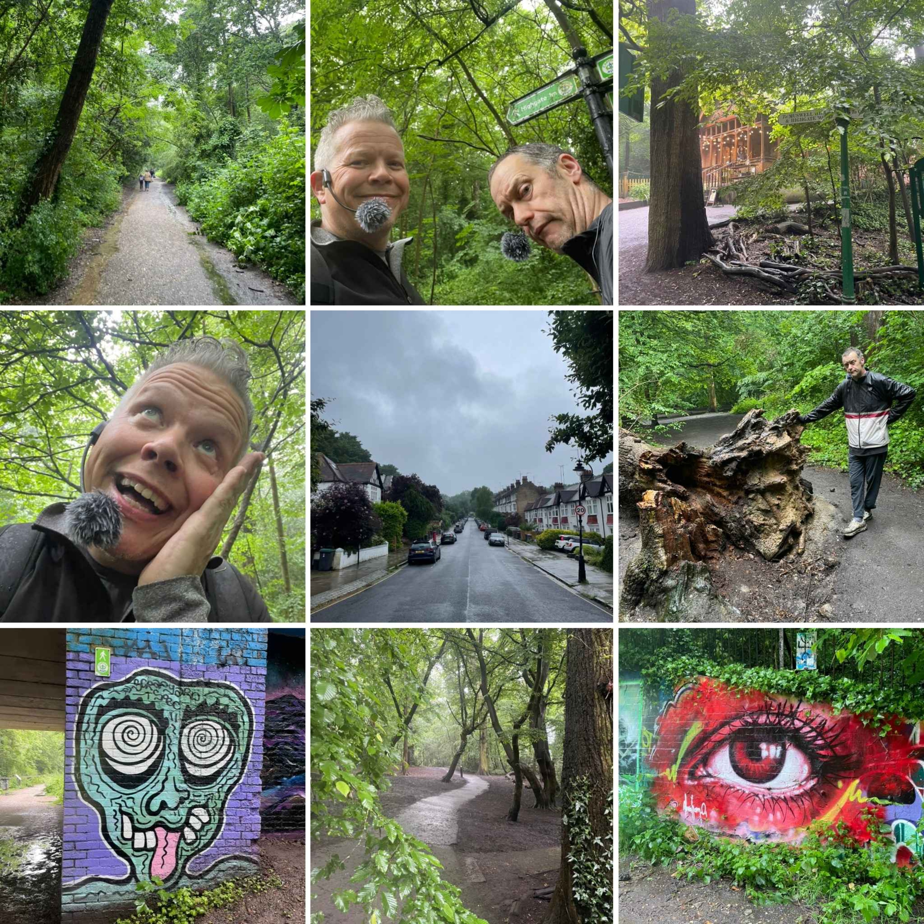 Under The Canopy Of The North London Rainforest