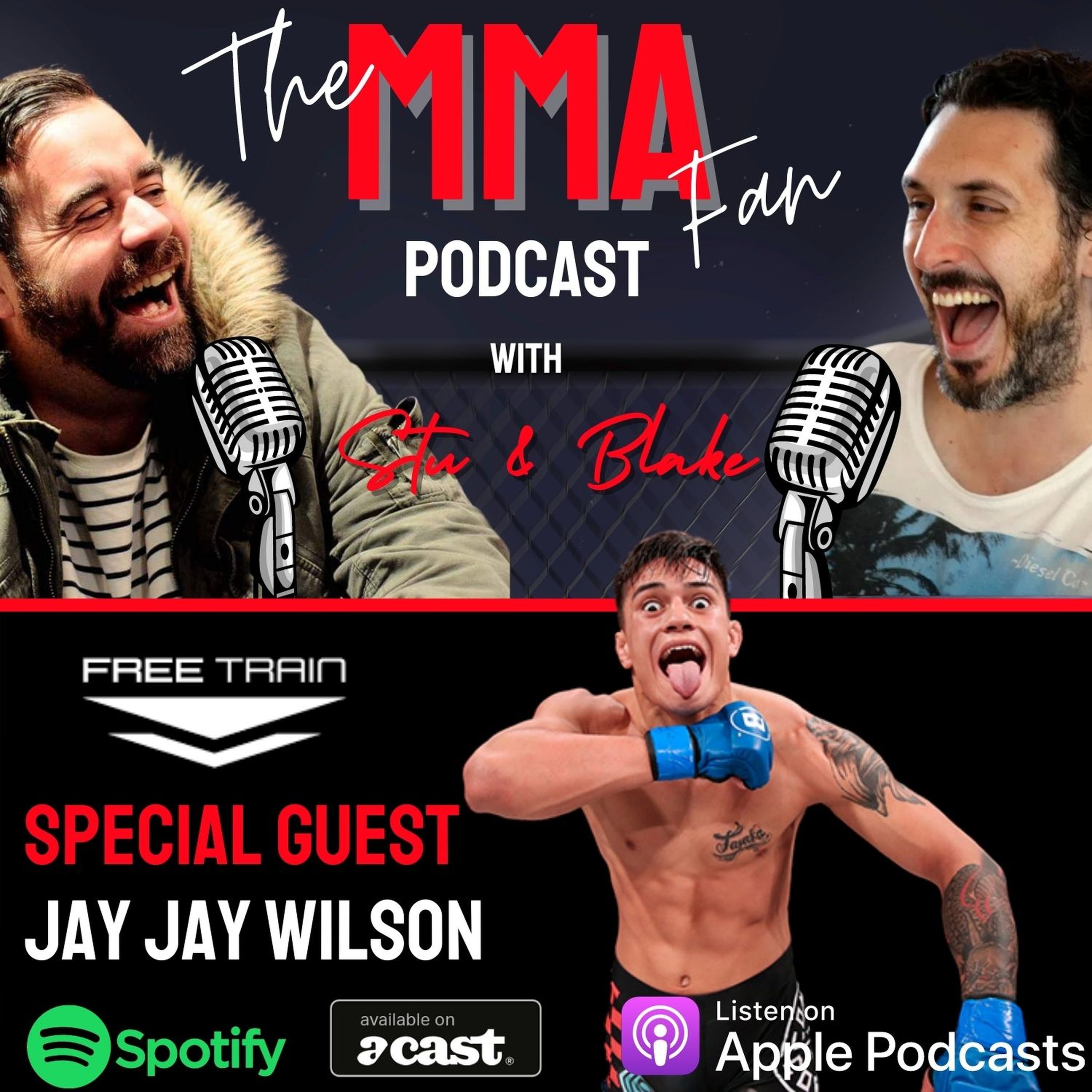 The MMA Fan Show
