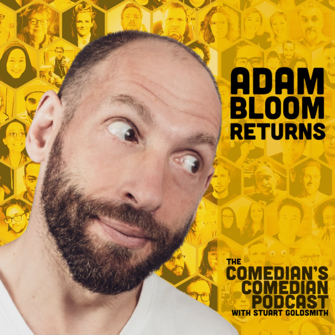 cover art for 437 - Adam Bloom Returns