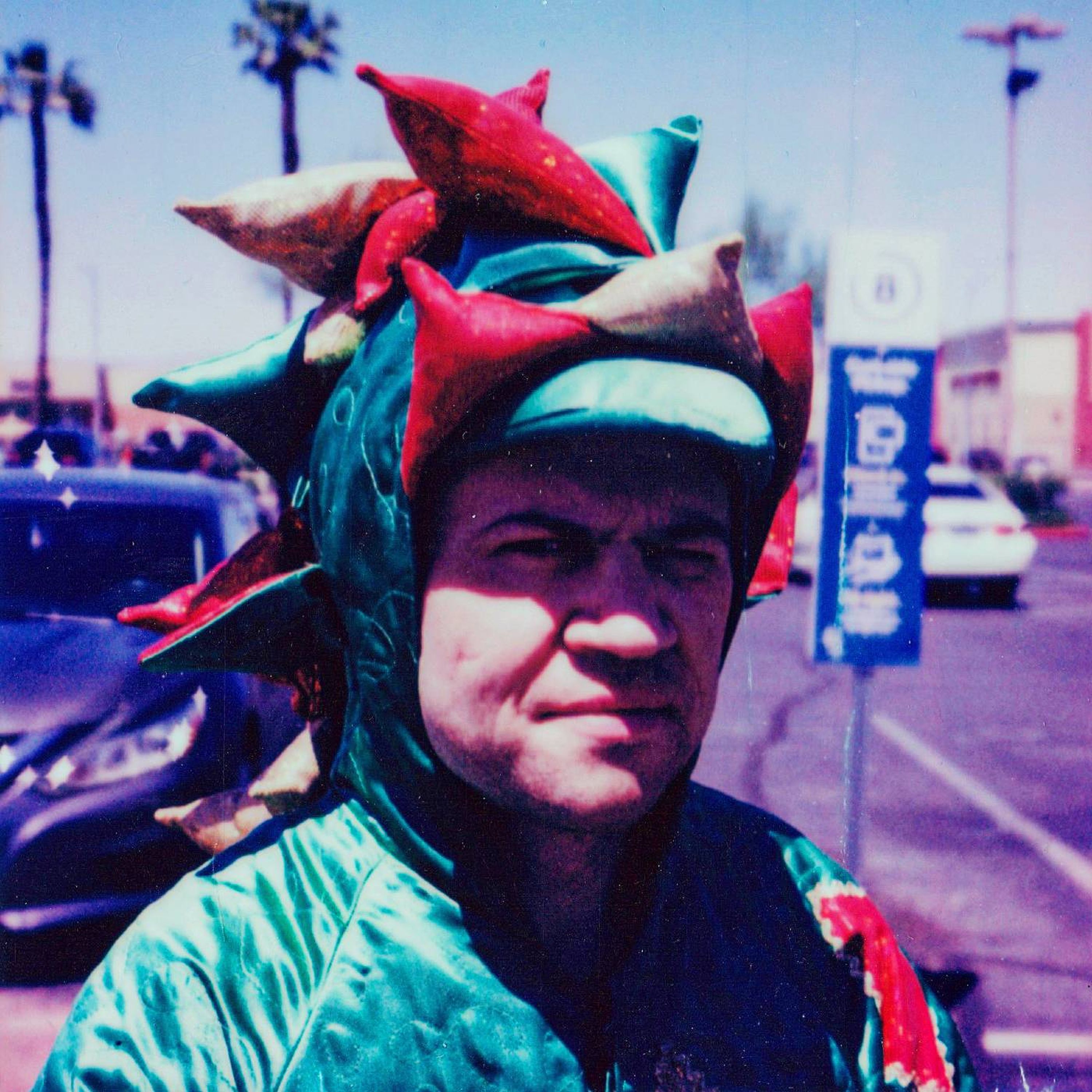 374 - Piff The Magic Dragon (John Van Der Put)
