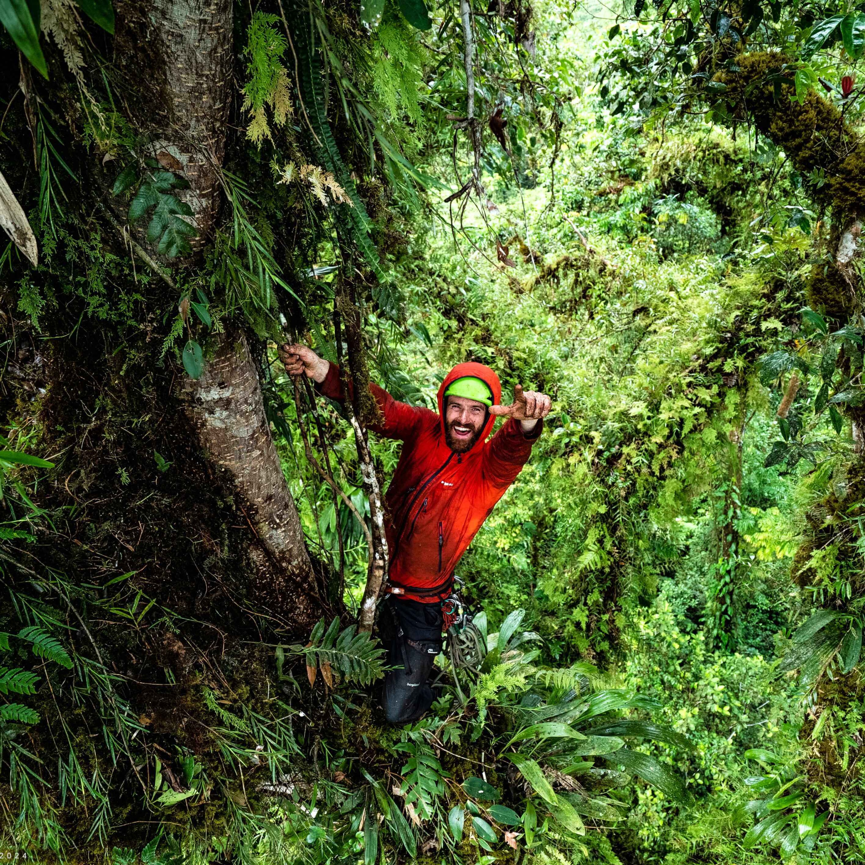 Dispatch: Waldo Etherington, Trees