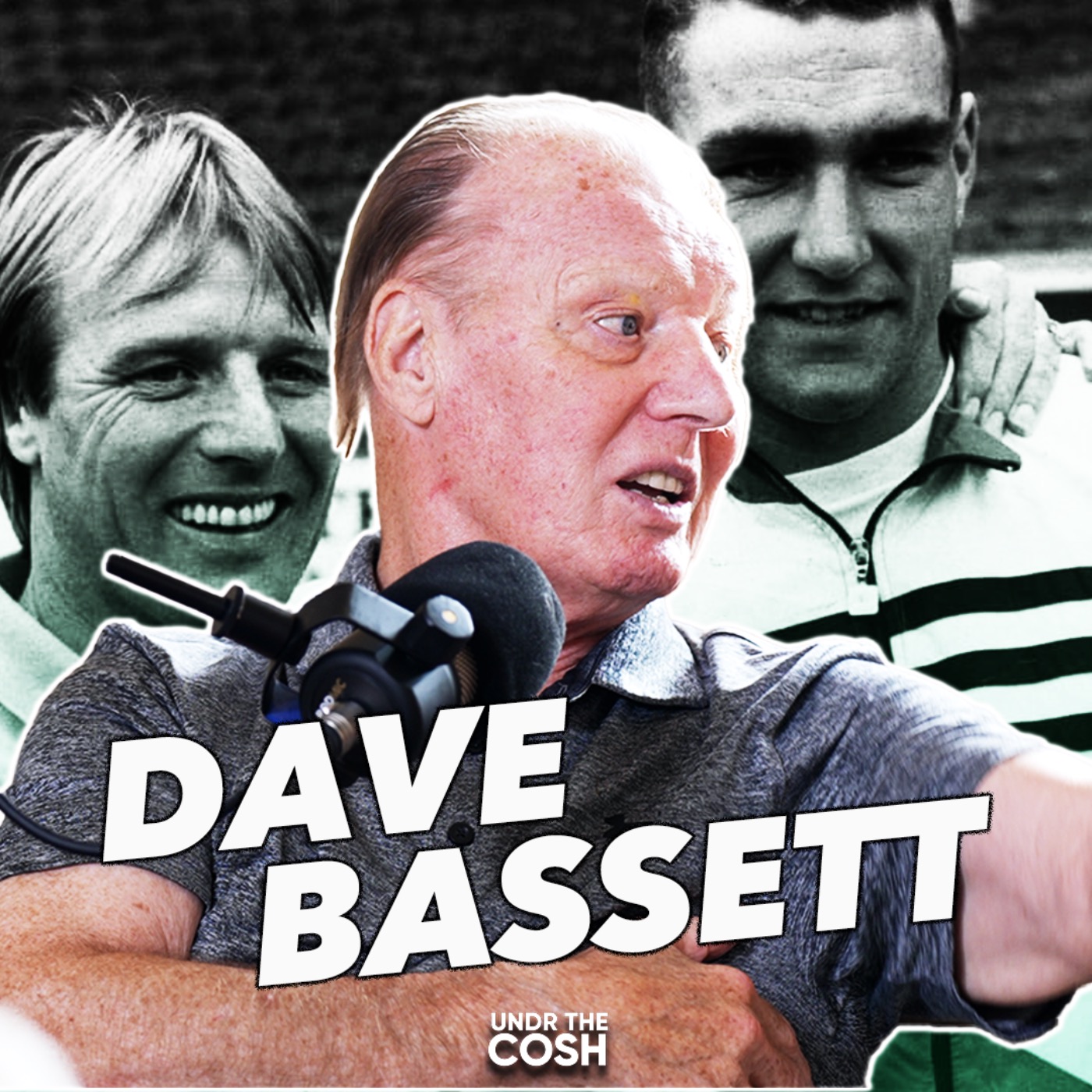 Dave Bassett | Stick Your Olive Branch Up Your Arse
