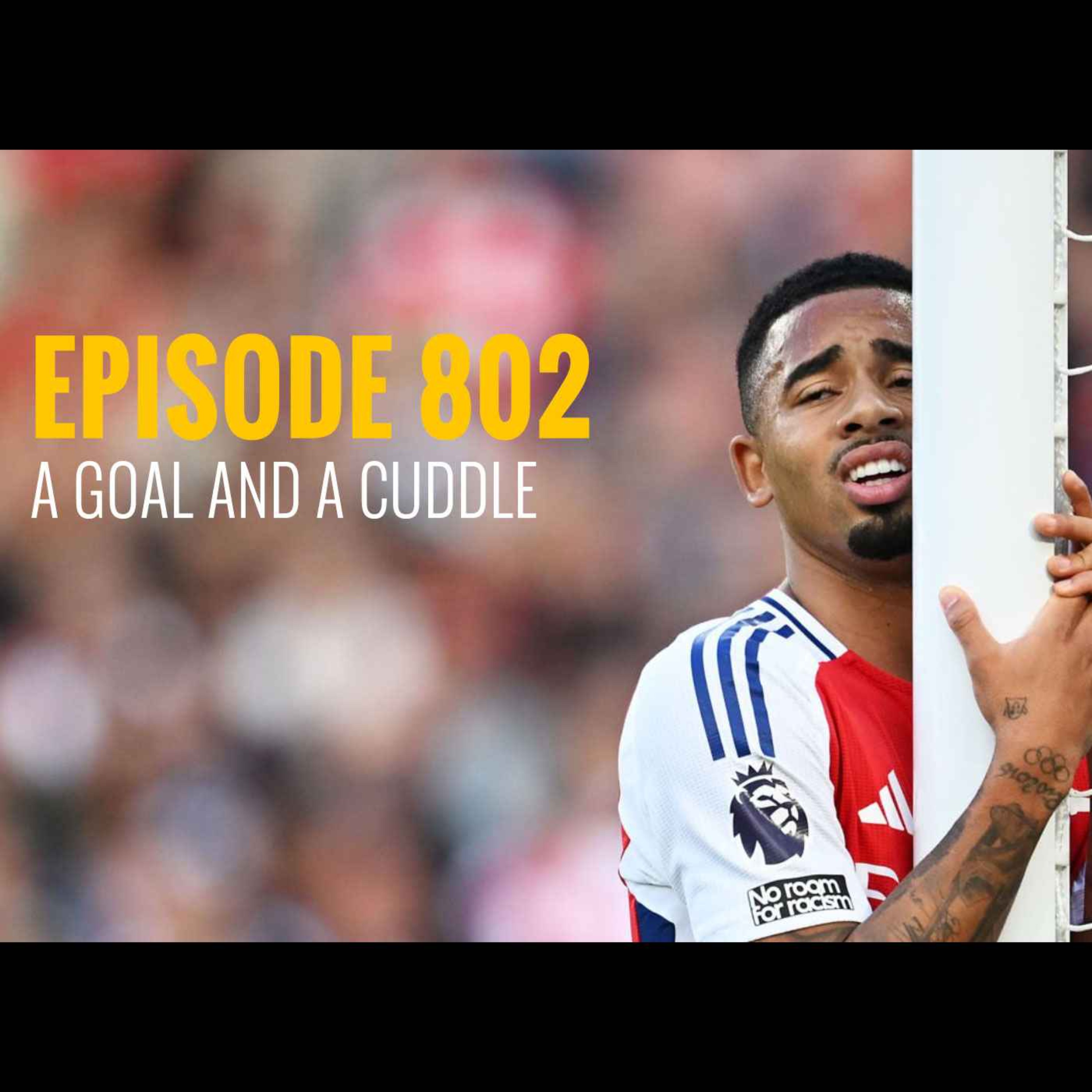 cover of episode Episode 802 - A goal and a cuddle