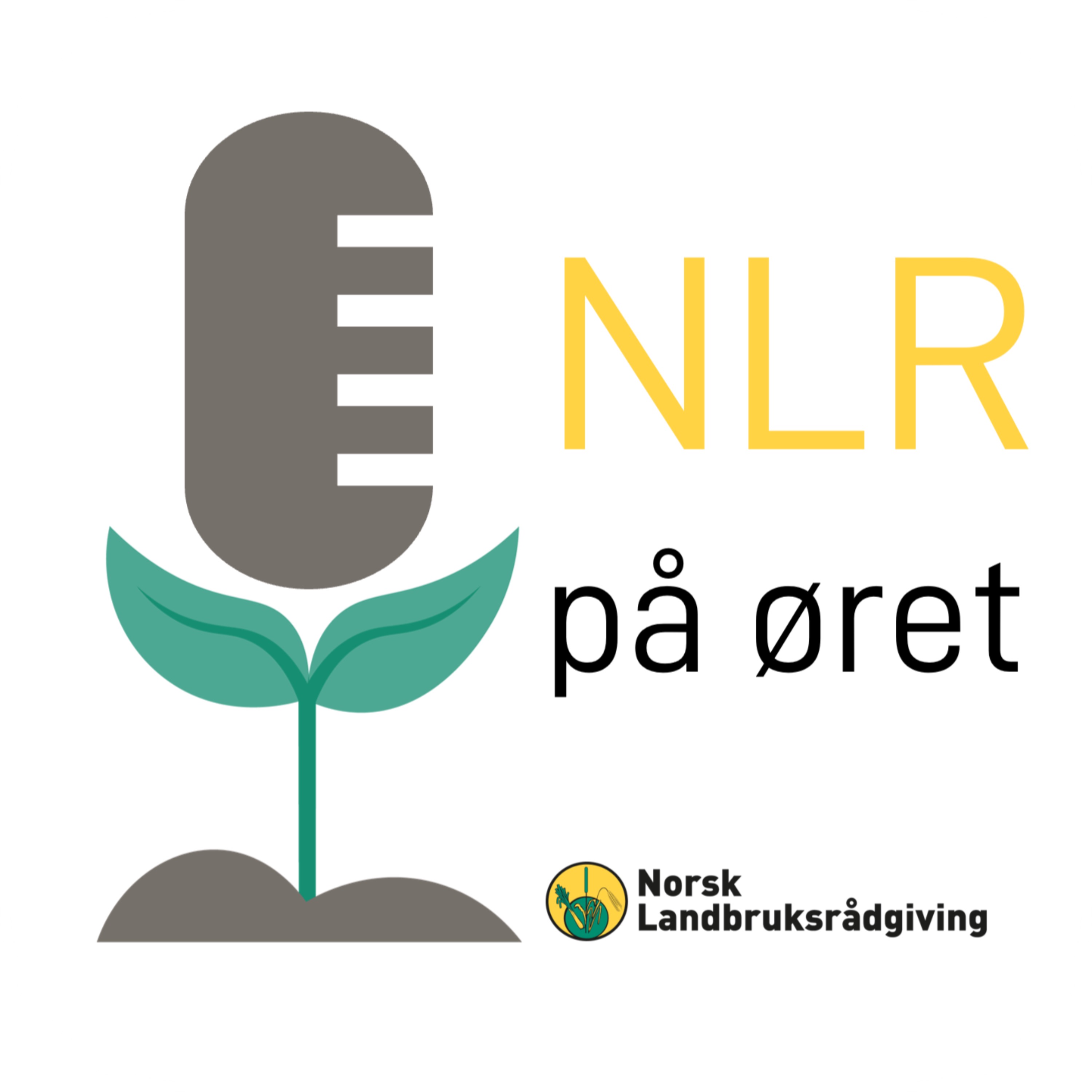 NLR på øret