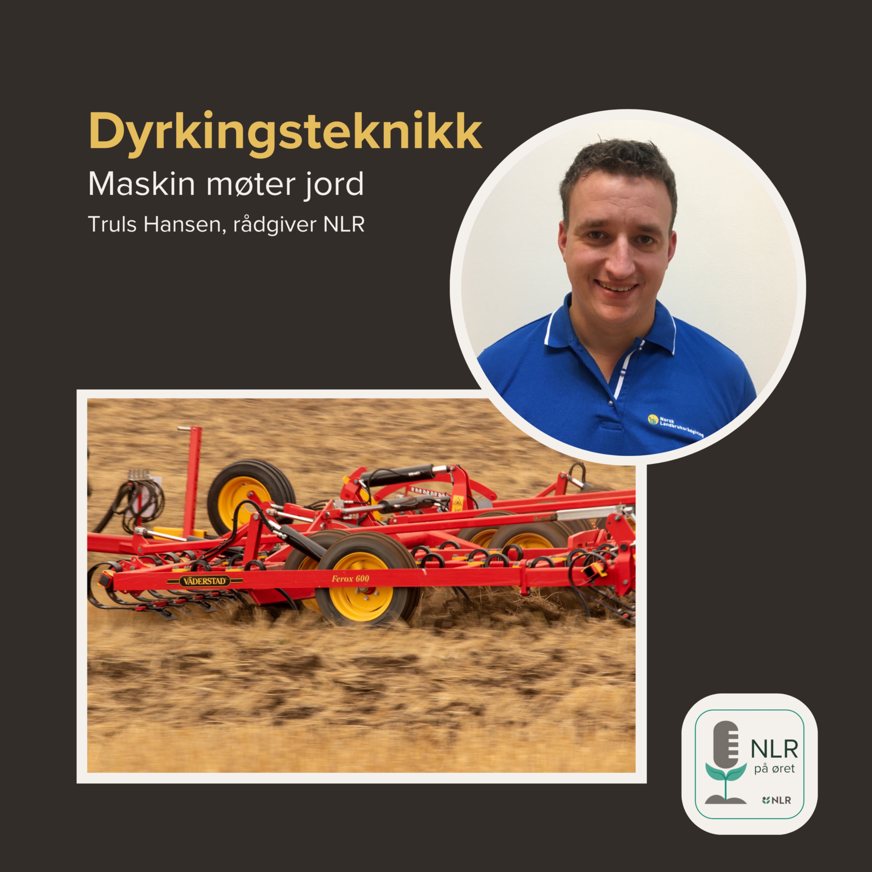NLR på øret