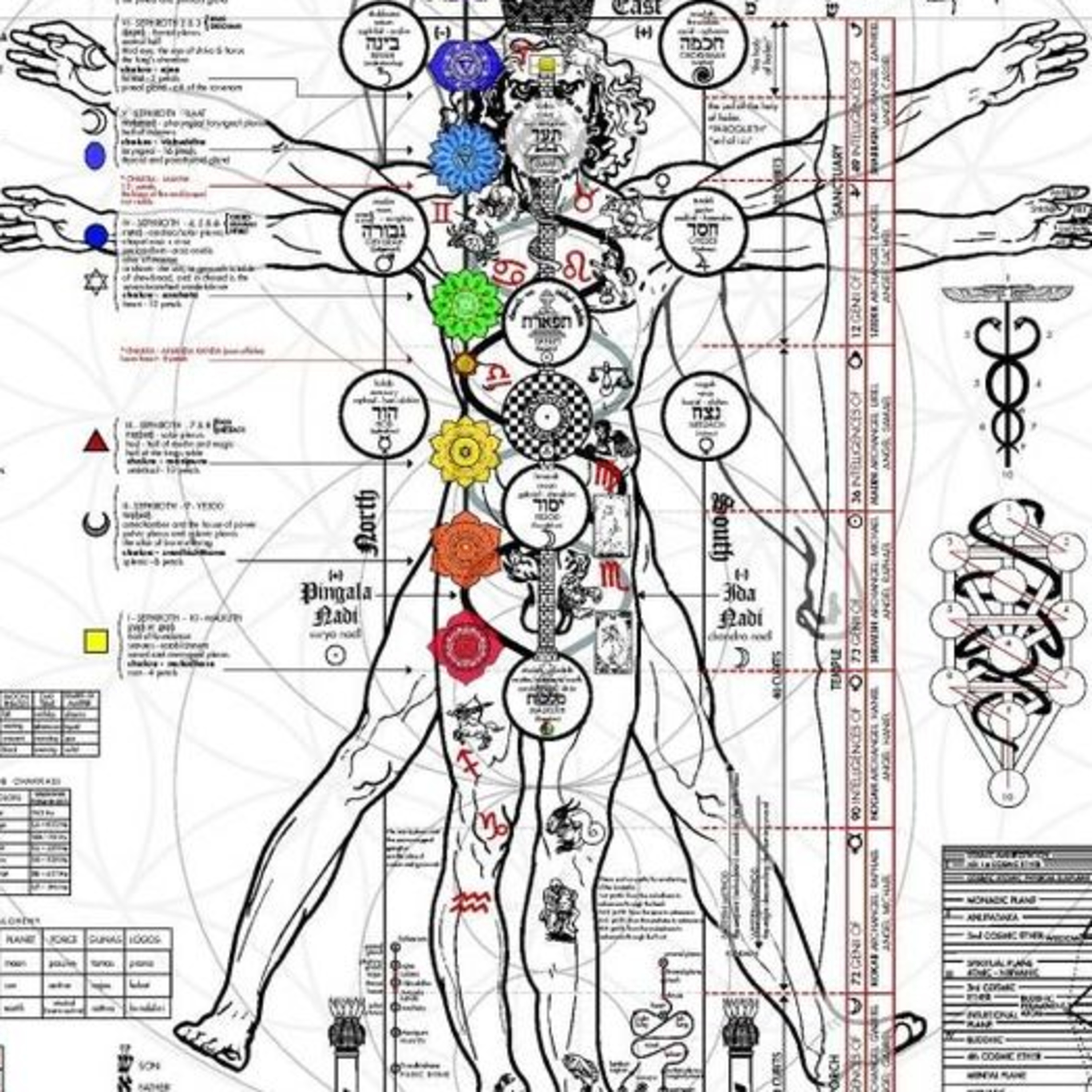 Anatomía Energética del Ser Humano