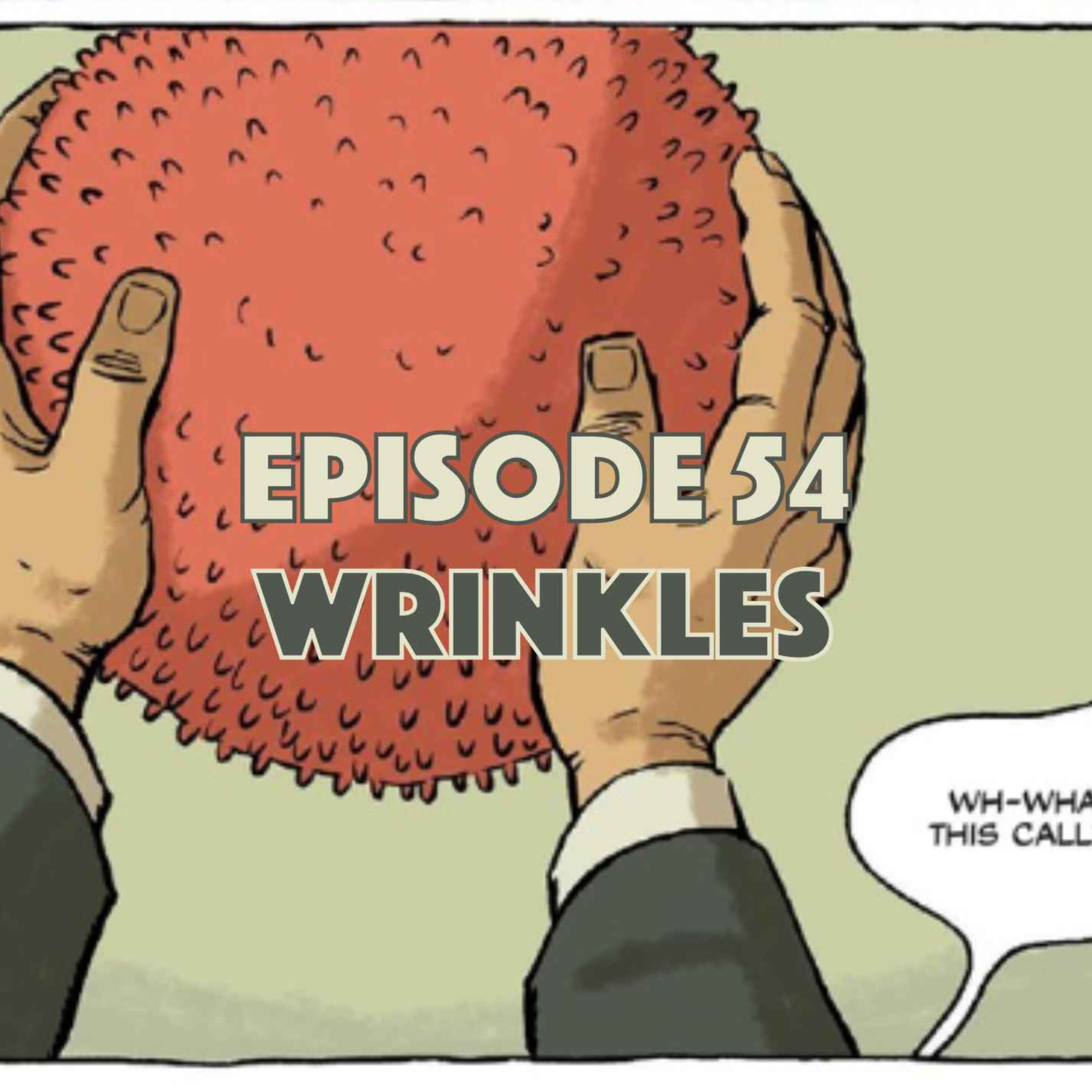 cover art for Wrinkles
