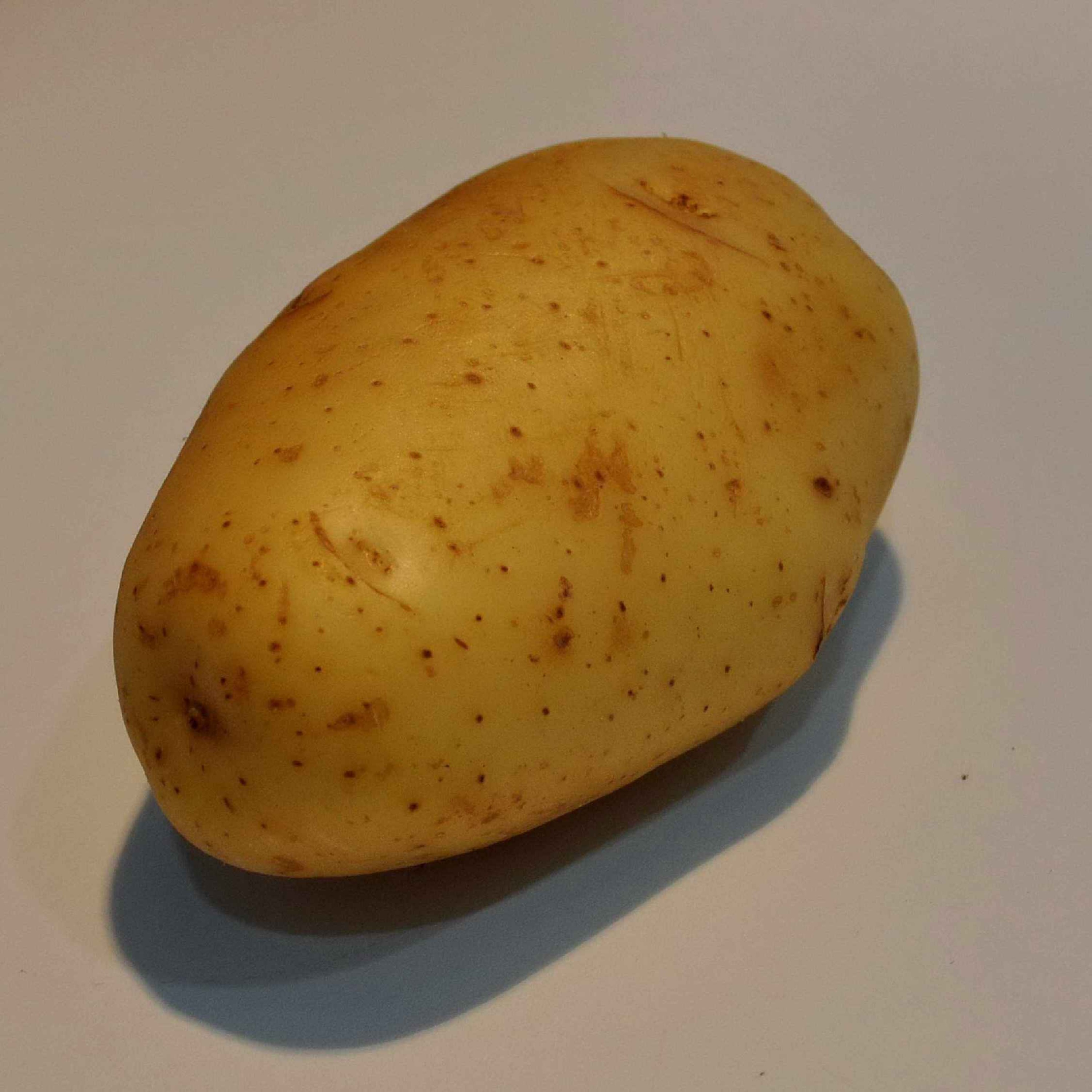 The Potato-Porting Polymath