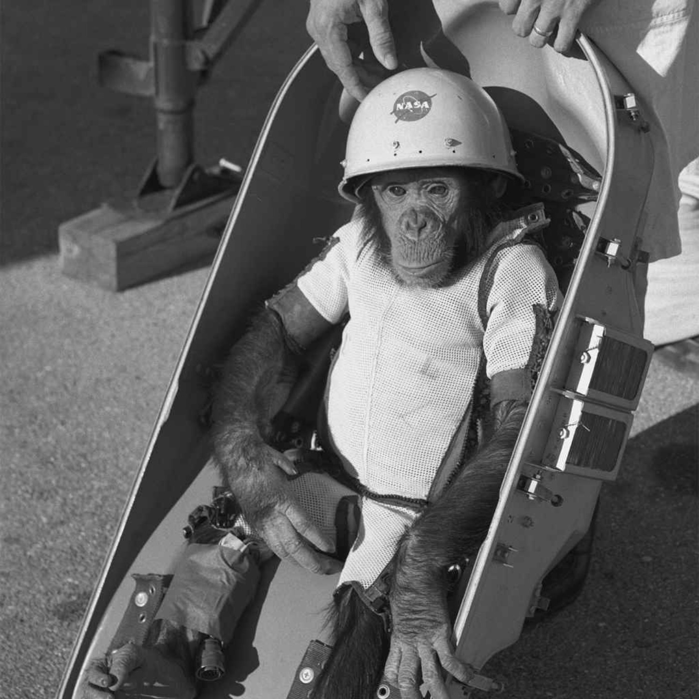 Chimps In Space! – Today In History with The Retrospectors – Podcast ...